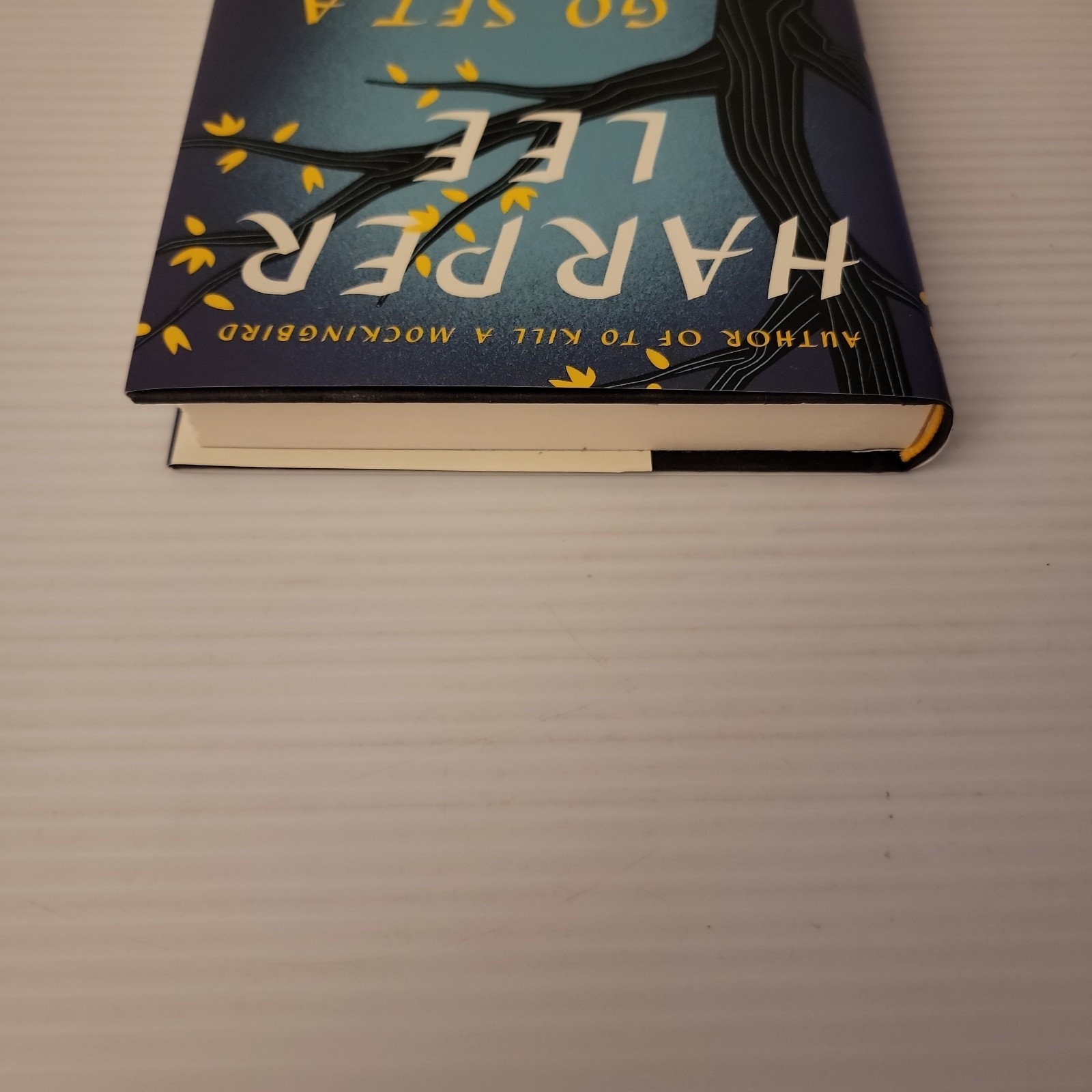 Harper Lee Go Set a Watchman First Edition First Printing HC DJ 2015