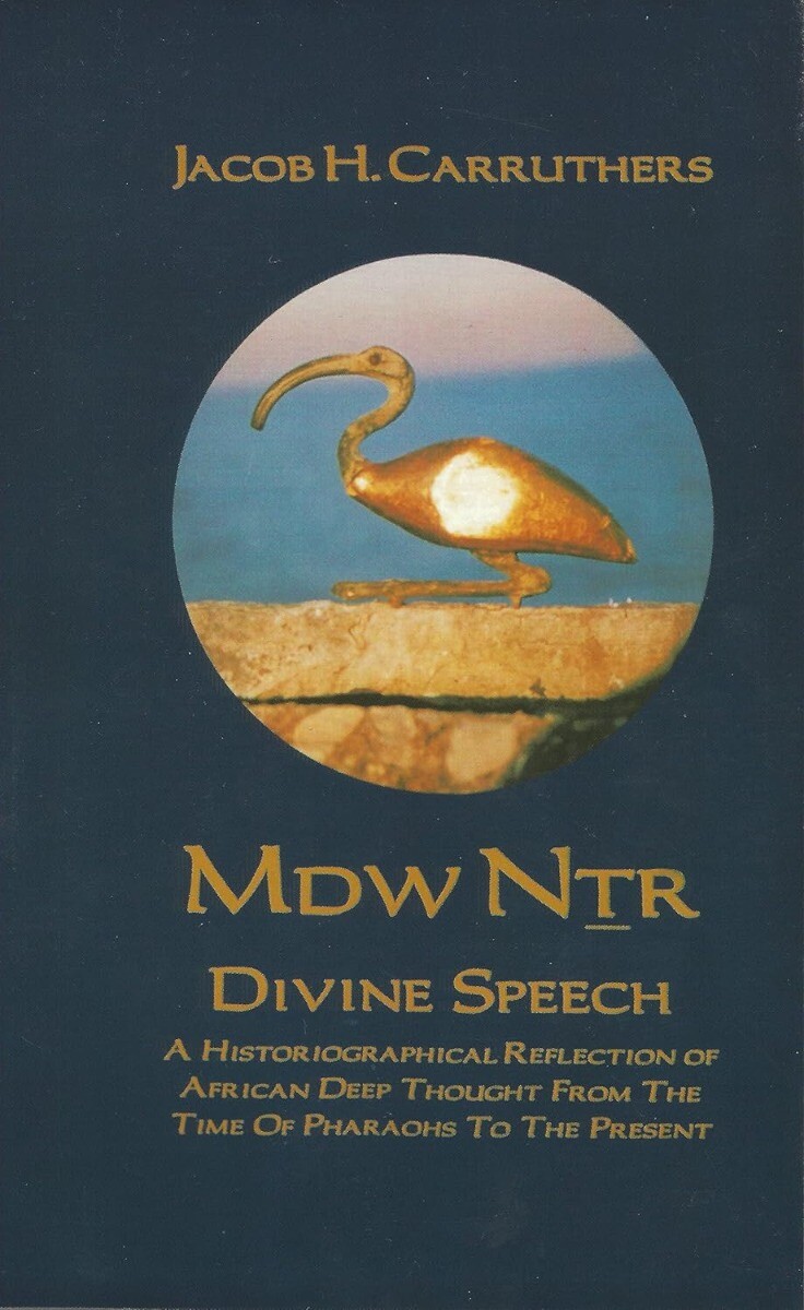 Mdw Dtr: Divine Speech: A Historiographical Reflection of African.. Paperback…