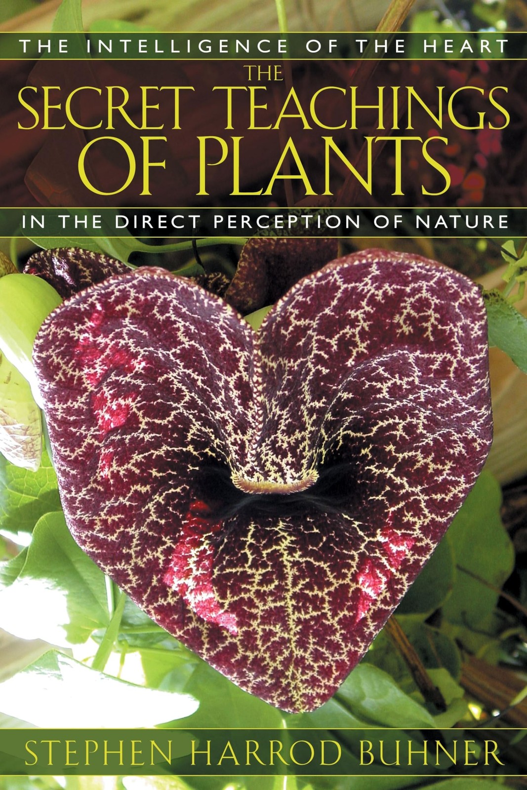 The Secret Teachings of Plants: The Intelligence of the Heart in the Direct …