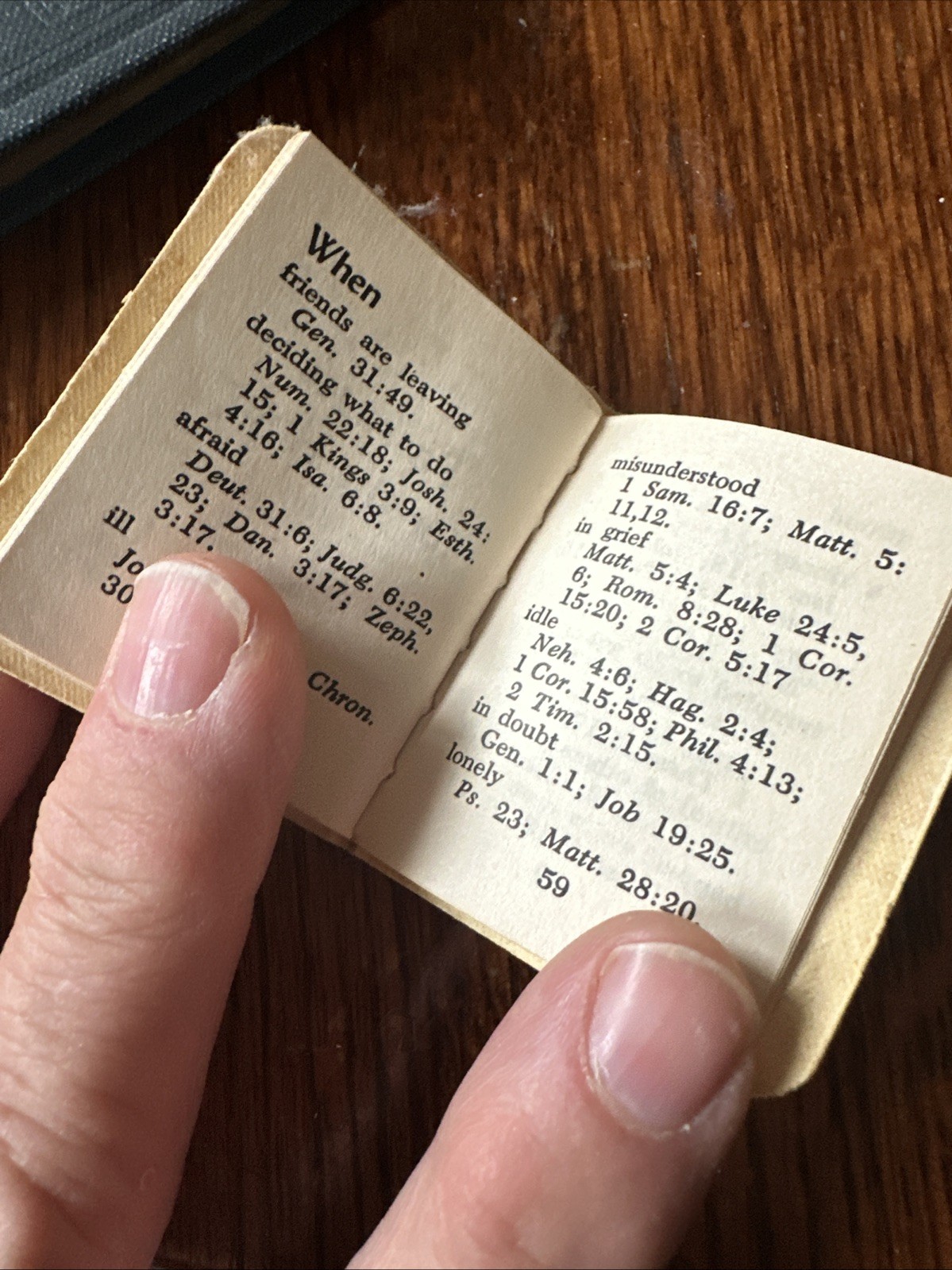 Antique Mini Books Daily Food For Christians, The Little Bible, Christmas Storie