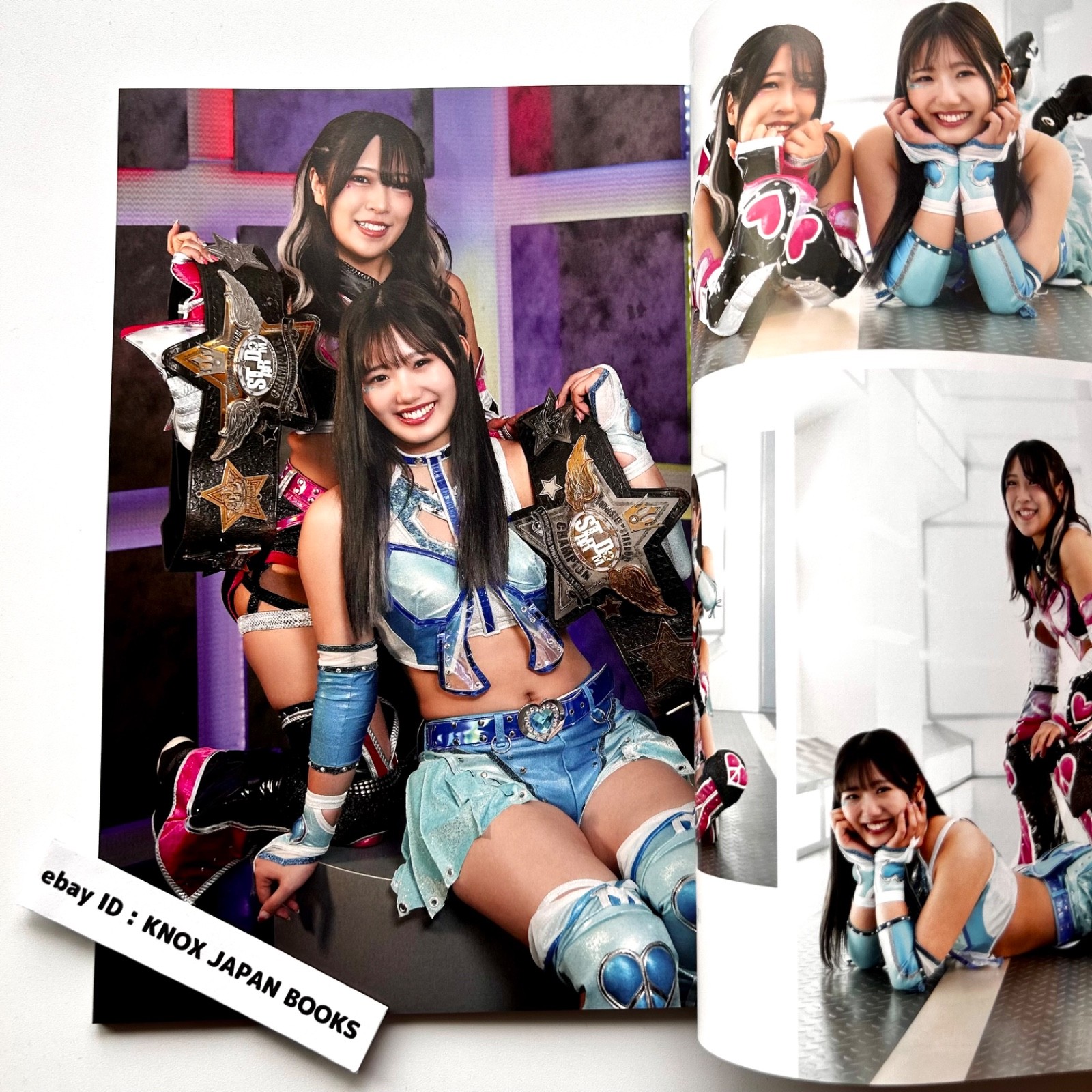Women&rsquo;s Pro Wrestling RING PLUS magazine vol.13 2026 Weekly Pro Wrestling Japan