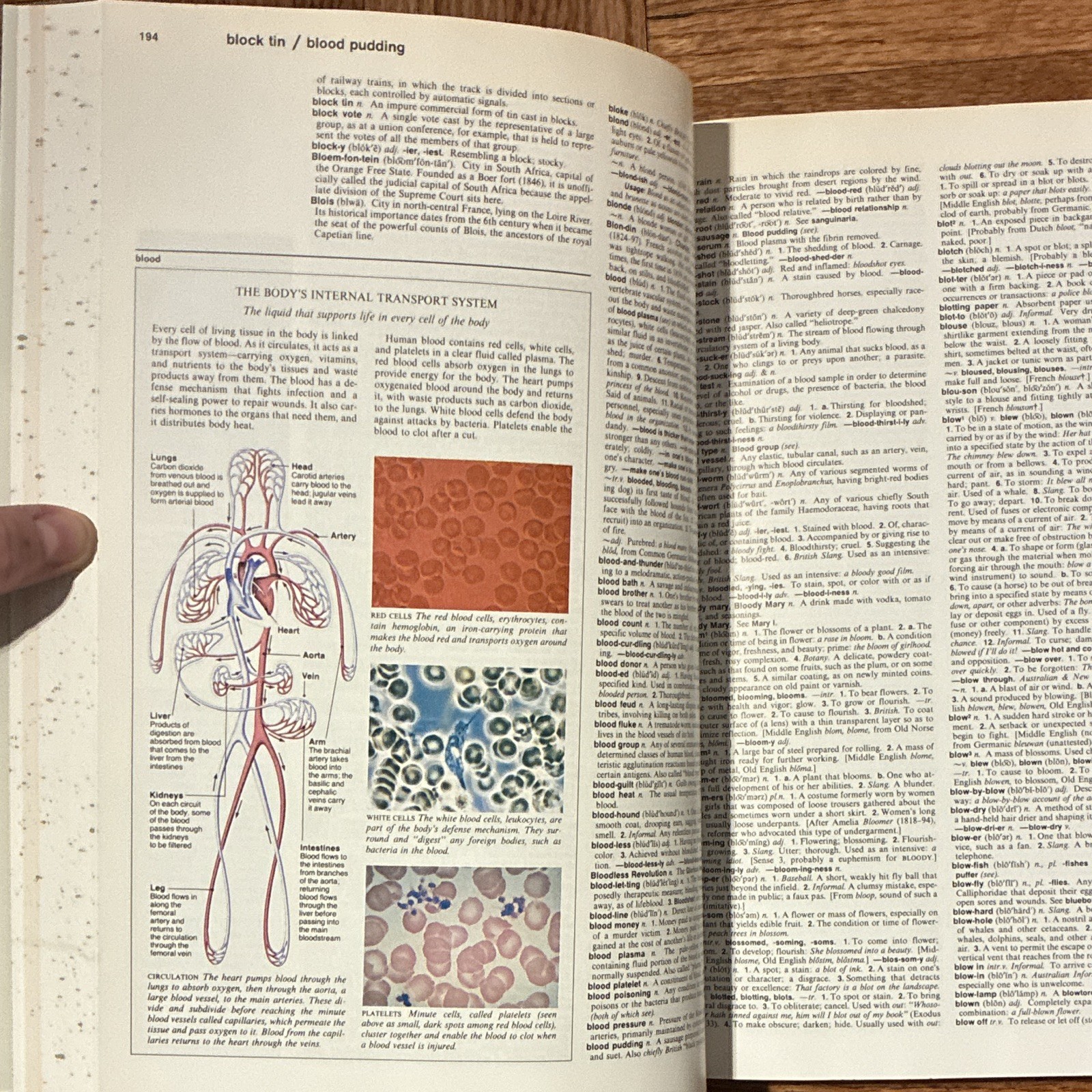 Reader’s Digest Illustrated Encyclopedic Dictionary Vol 1 A-K & L-Z HC 1987