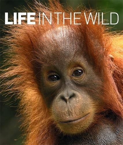 LIFE IN THE WILD By Thomas Marent & Scubazoo – Hardcover
