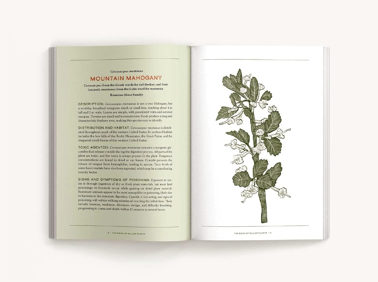 The Book of Killer Plants: A Field Guide to Nature&rsquo;s Deadliest Creations