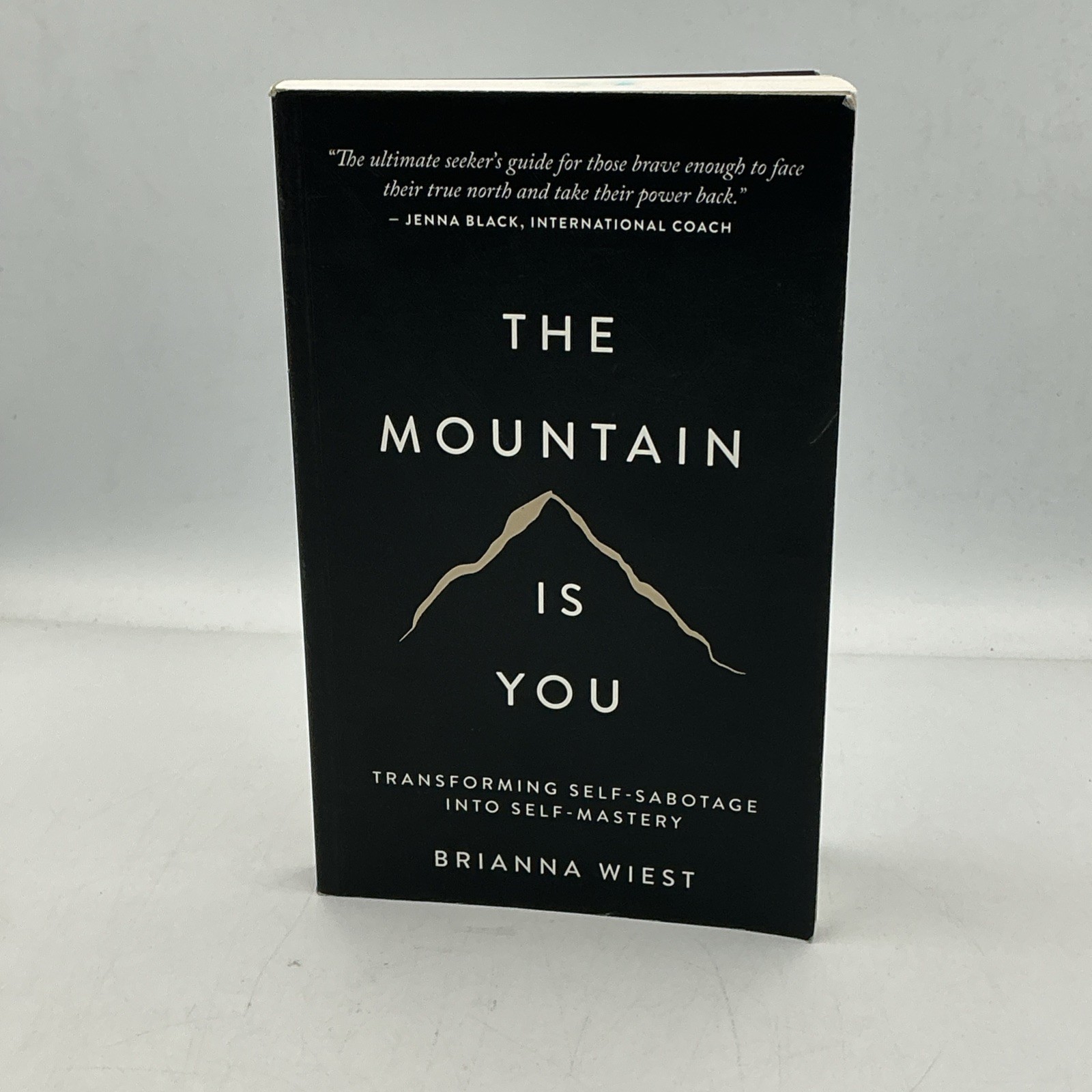 THE MOUNTAIN IS YOU BY BRIANNA WIEST PAPERBACK 2020