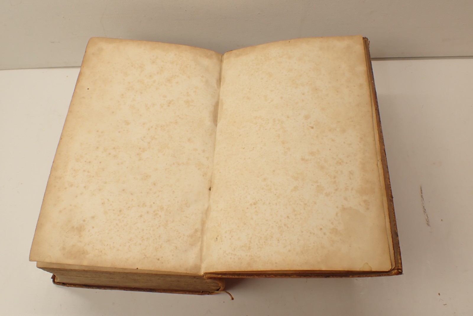1847 Pre Civil War German Bible Die Bible New York 272 pages