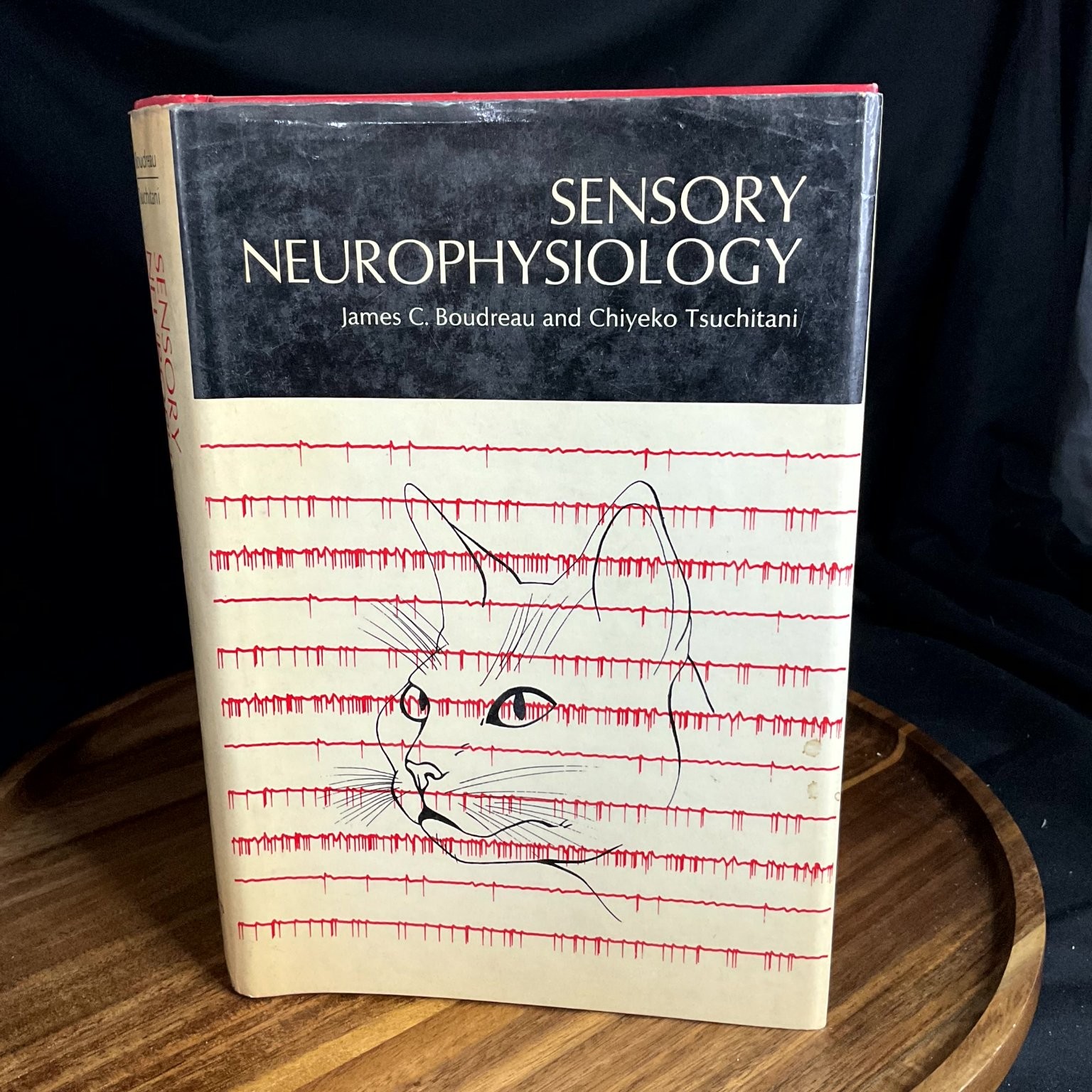 Sensory Neurophysiology Boudreau Tsuchitani 1973 Cat Neuroscience Book