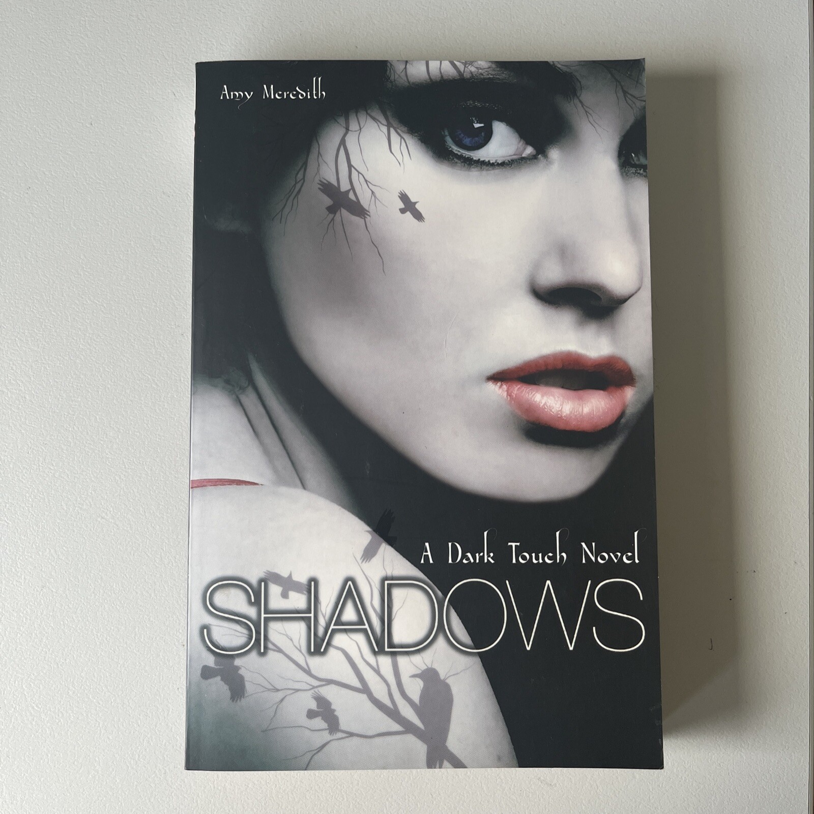 Dark Touch: Shadows by Amy Meredith (Paperback Novel, 2010)