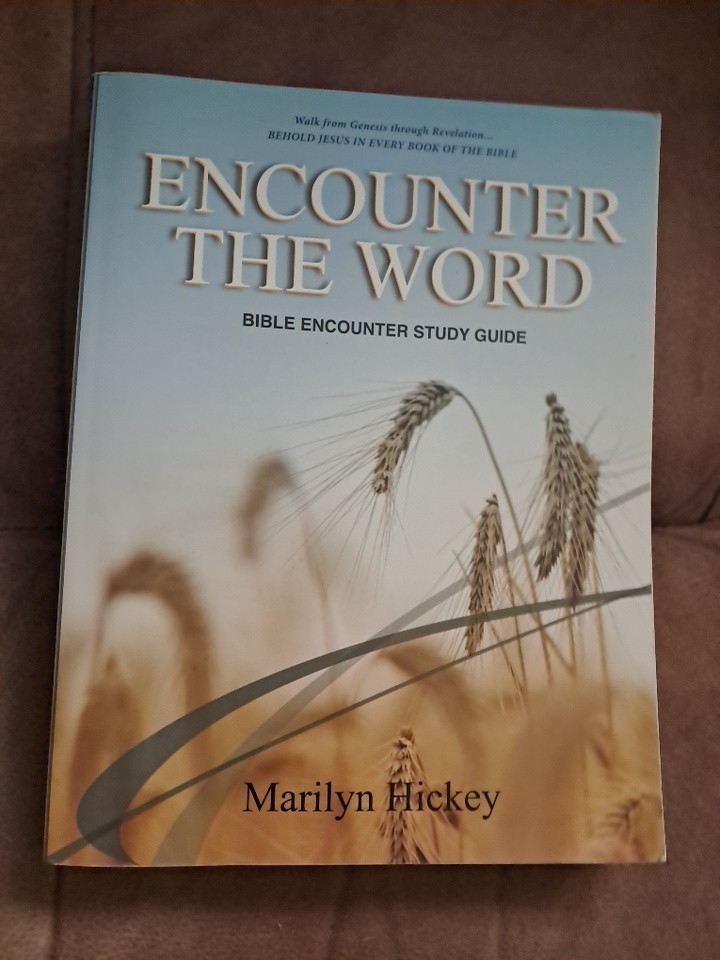 Bible Encounter Syllabus Beholding Jesus in Every Book of the Bible by Hickey