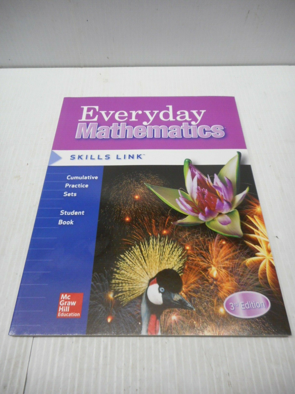 Wright Group/McGraw Hill Everyday Mathematics Skills Link Grade 4 Paperback