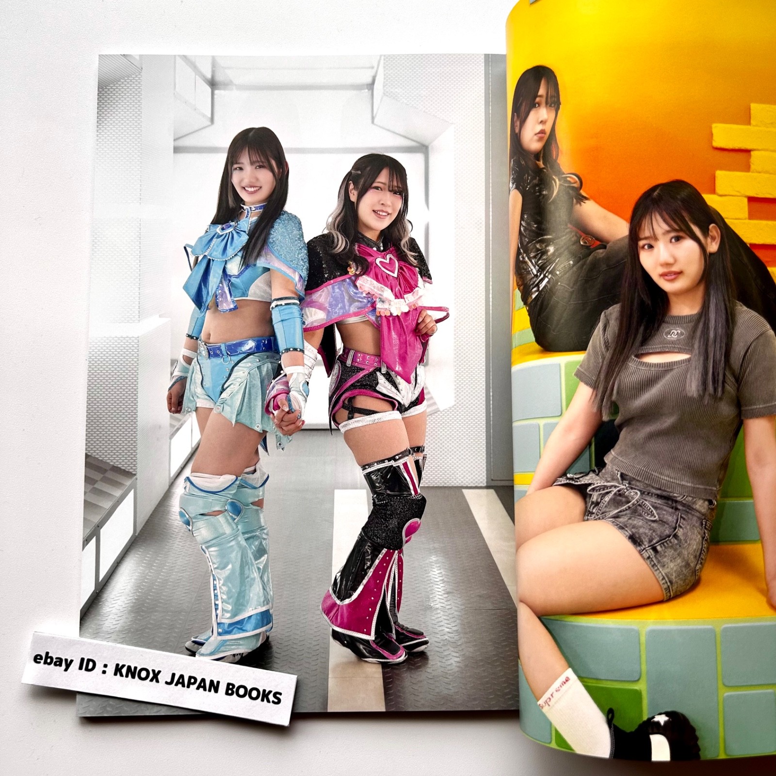 Women&rsquo;s Pro Wrestling RING PLUS magazine vol.13 2026 Weekly Pro Wrestling Japan