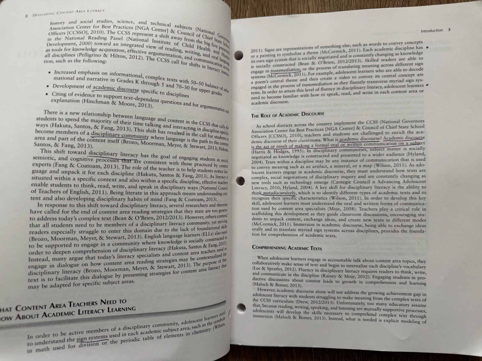 Developing Content Area Literacy : 40 Strategies for Middle and Secondary…