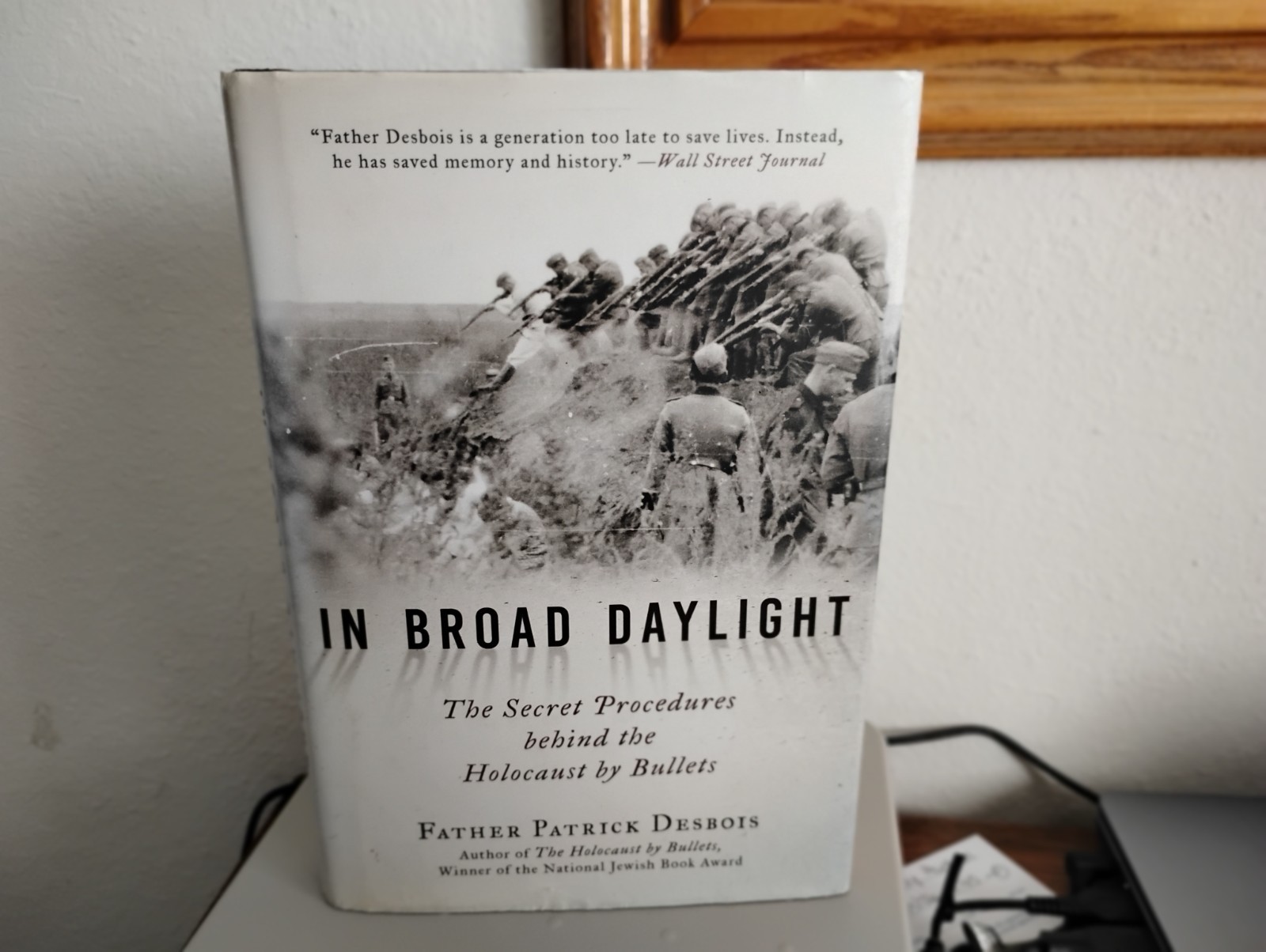 In Broad Daylight : The Secret Procedures Behind the Holocaust by Bullets by…
