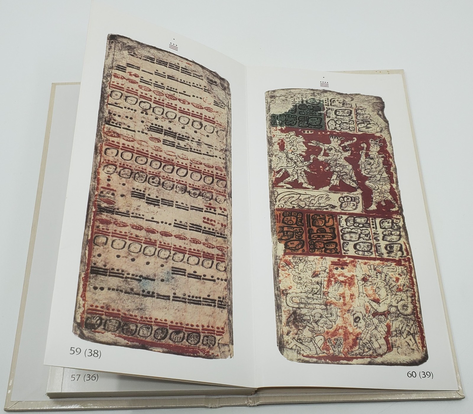 Kumatzim Wuj Jun Codice de Dresde 1998 Edition Maya Cholsamaj