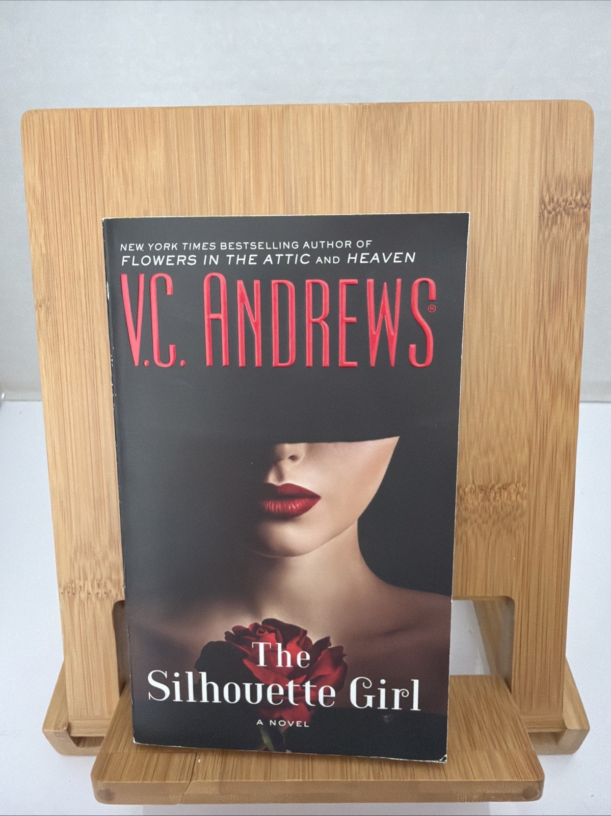 The Silhouette Girl Format: General/trade
