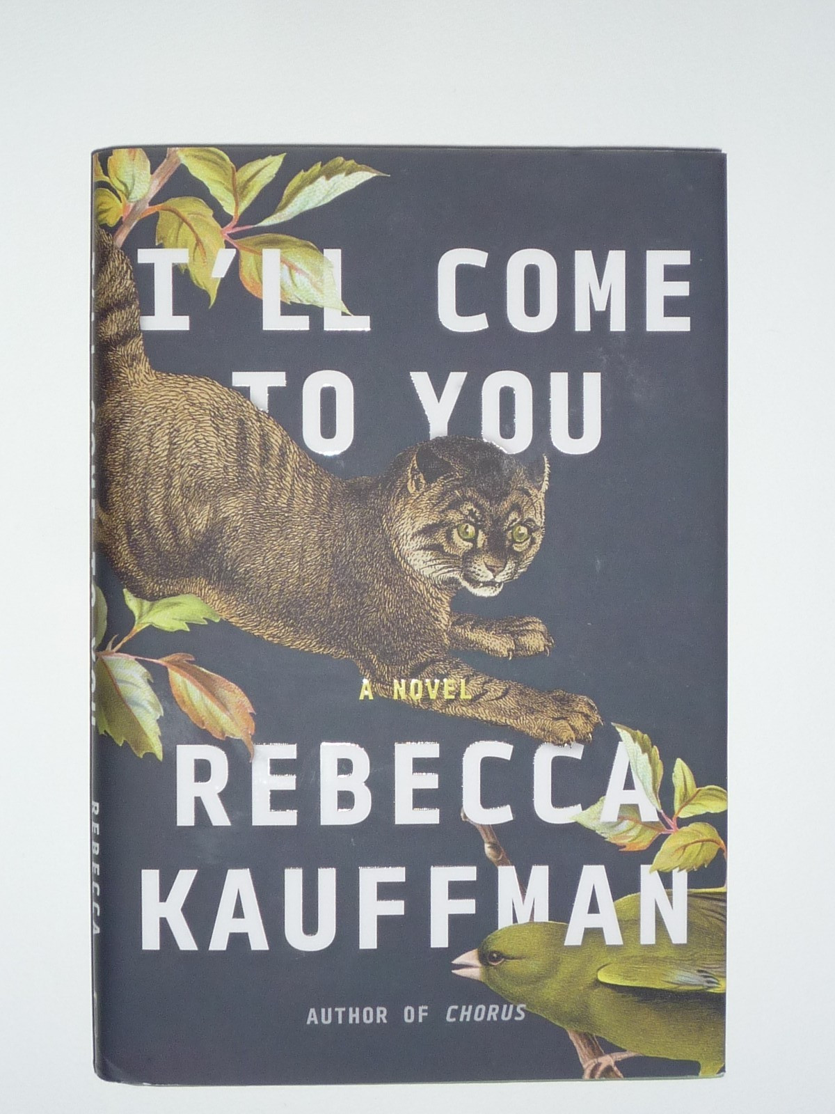 I&rsquo;ll COME TO YOU a novel by Kauffman, Rebecca (Brand-New, 2024, Hardcover) $6.95