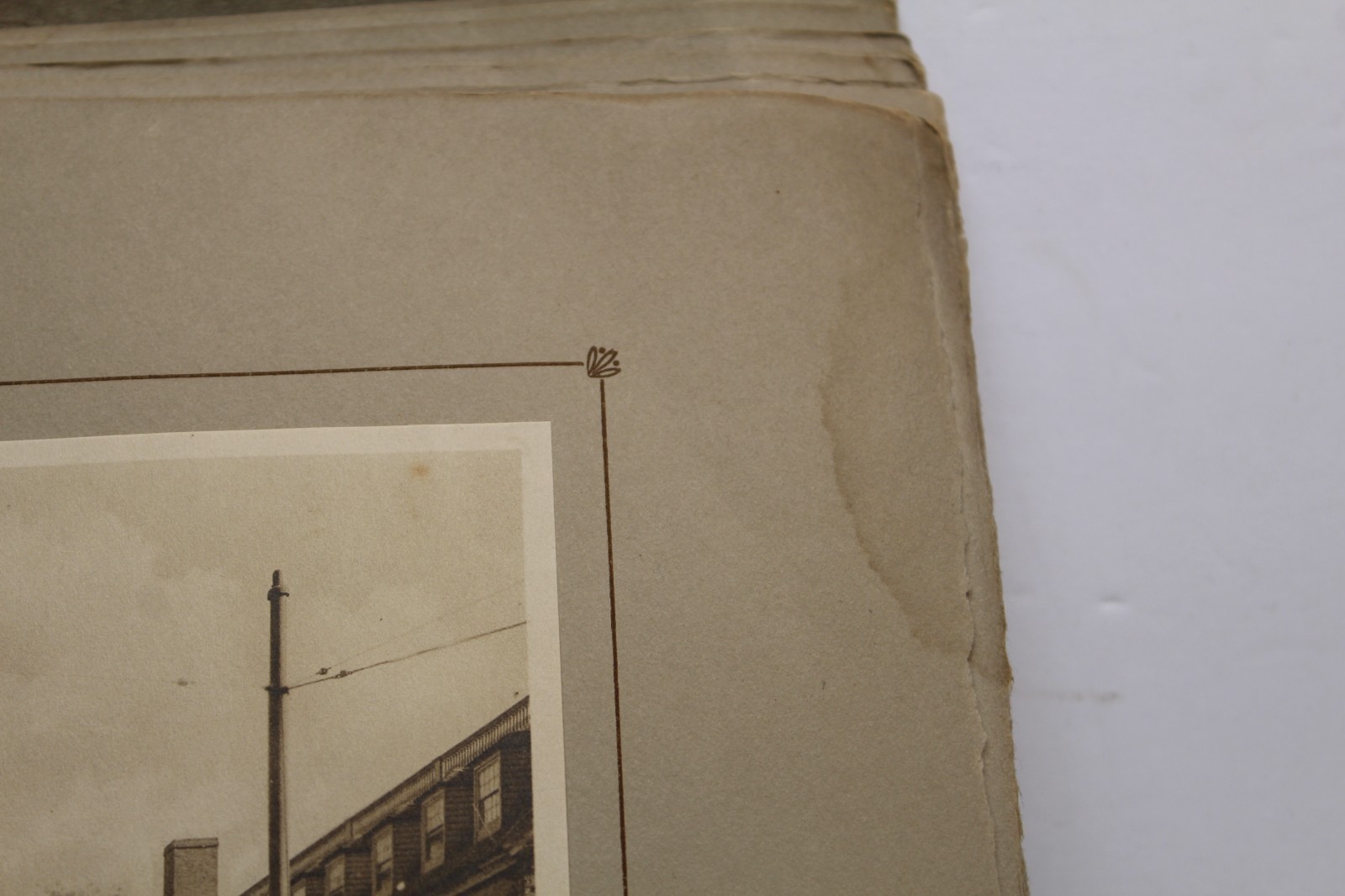 Antique Harvard University Albertype Souvenir Photo Book 25-6&Prime;x8&Prime; pictures
