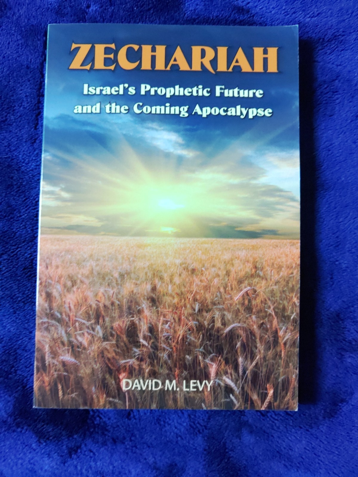 Zechariah : Israel&rsquo;s Prophetic Future and the Coming Apocalypse by David M. Levy