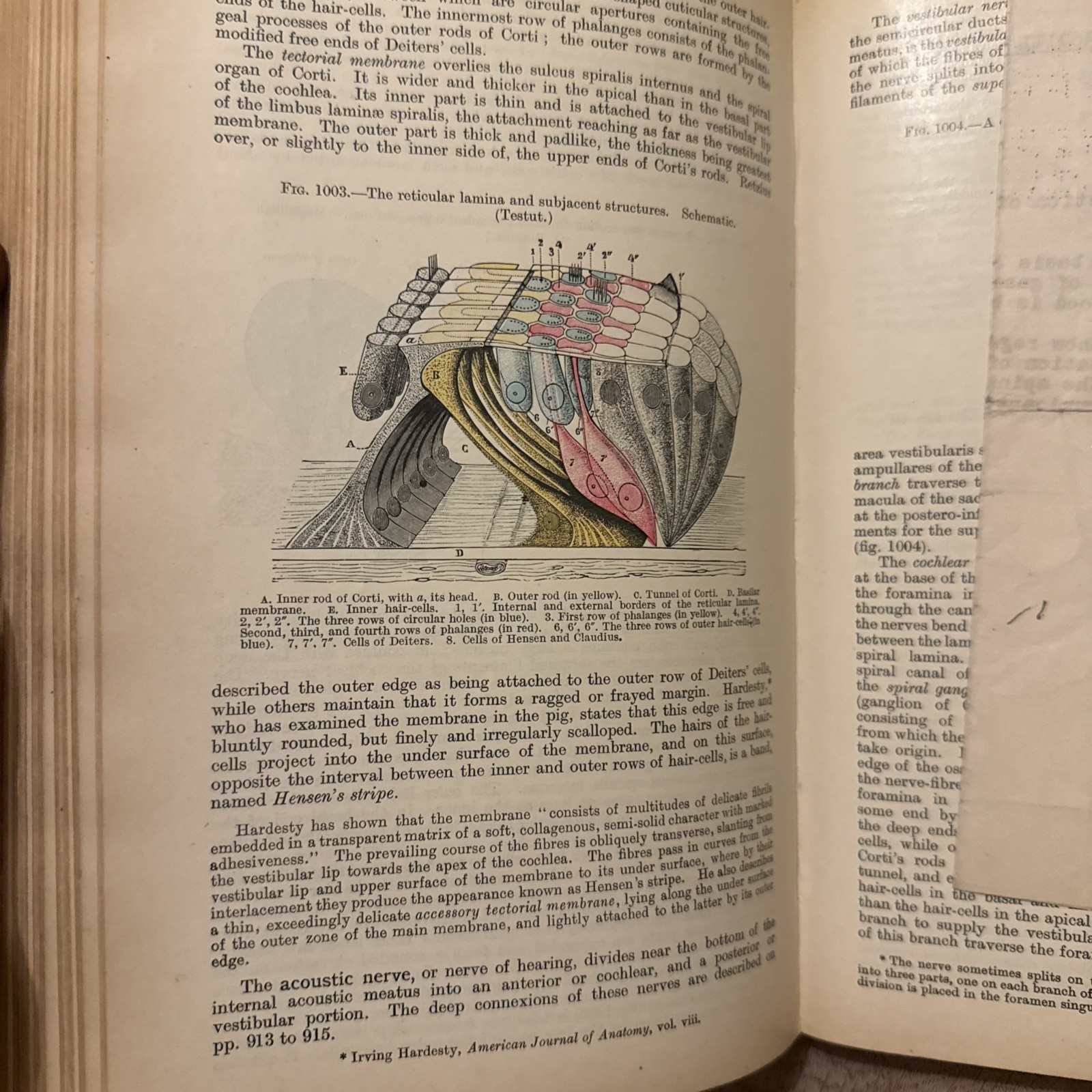 Rare 1923 Gray’s Descriptive and Applied – 22nd Ed (Classic Medical Collectible)