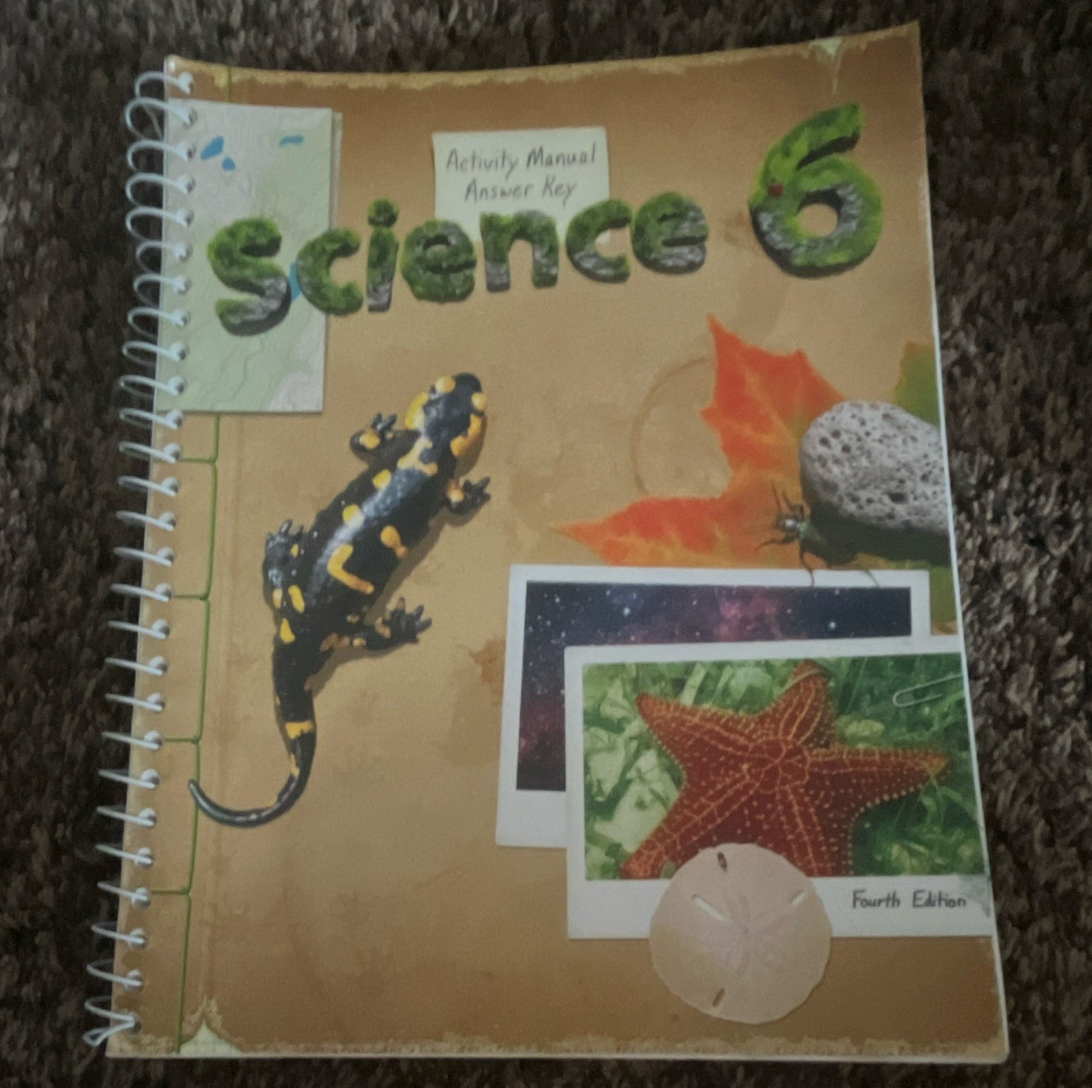 BJU Press Science 6 Activity Manual Answer Key 4th Ed Ring/Wire Bound English