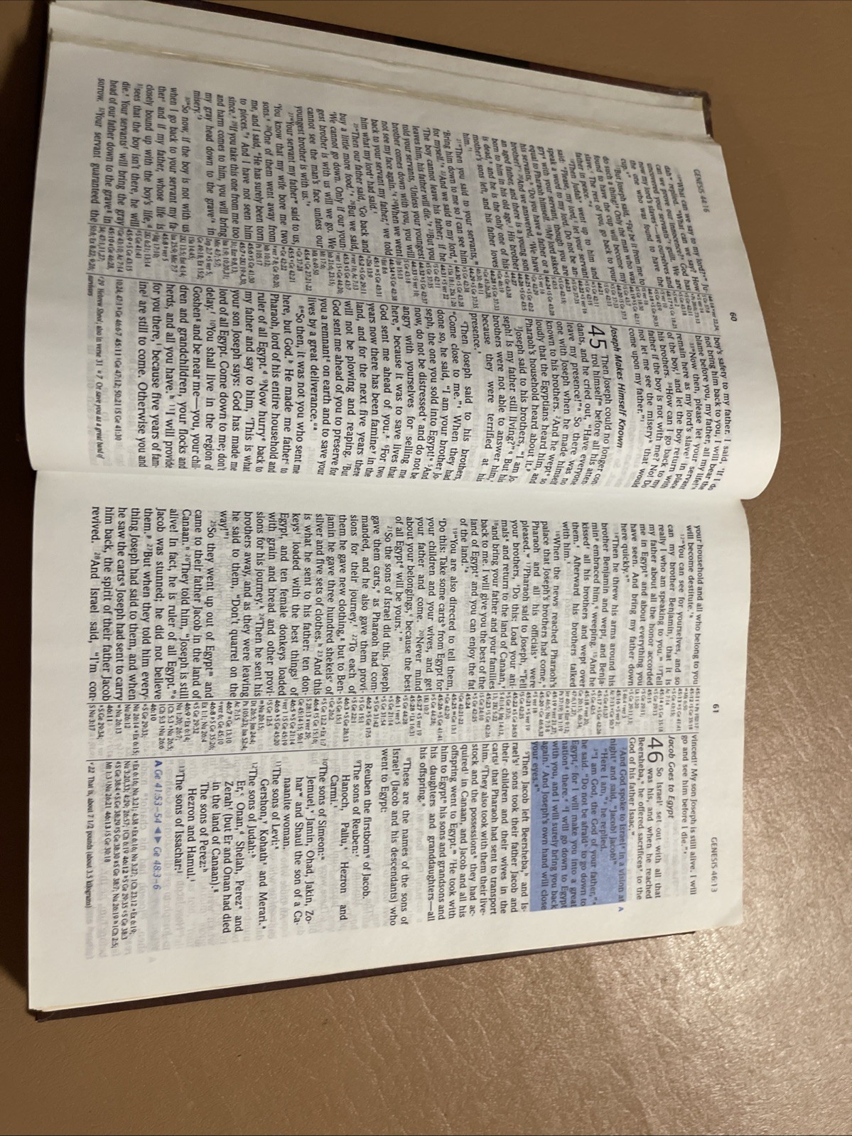 NIV Prophecy Marked Reference Study Bible 1998 Hardcover Text 1984