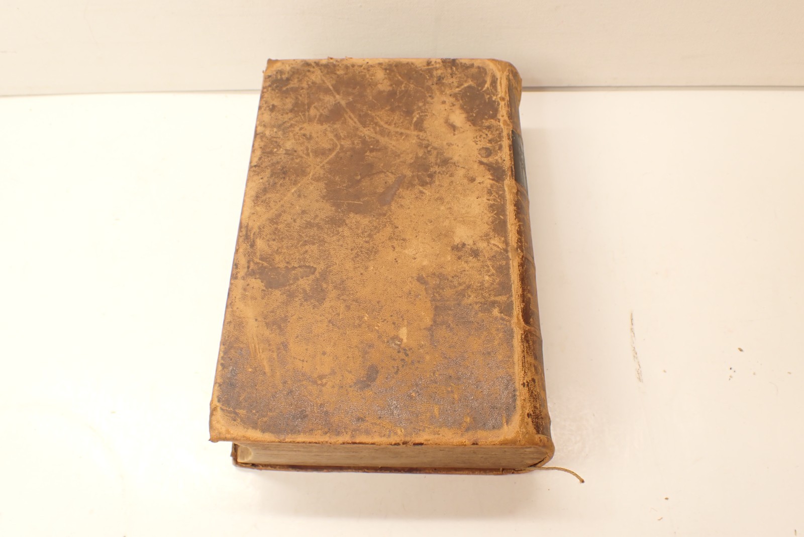 1847 Pre Civil War German Bible Die Bible New York 272 pages