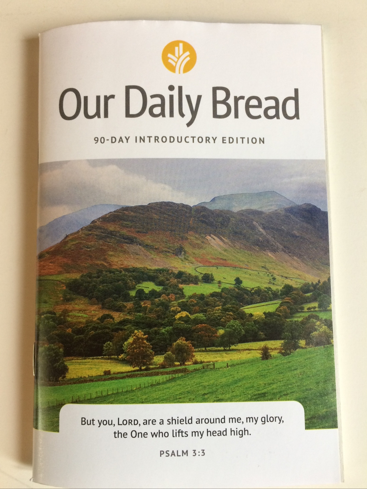 Our Daily Bread 2020 Paperback 90 Day Introductory Edition Devotional Booklet