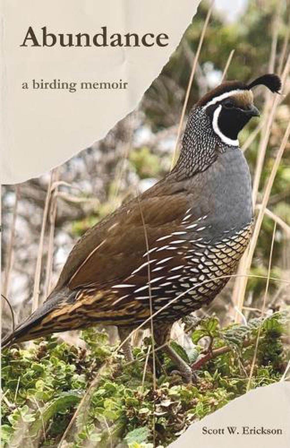 Abundance: A Birding Memoir by Scott W. Erickson Paperback Book