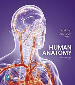 Human Anatomy – Hardcover, by Martini Frederic; Tallitsch Robert; – Acceptable n