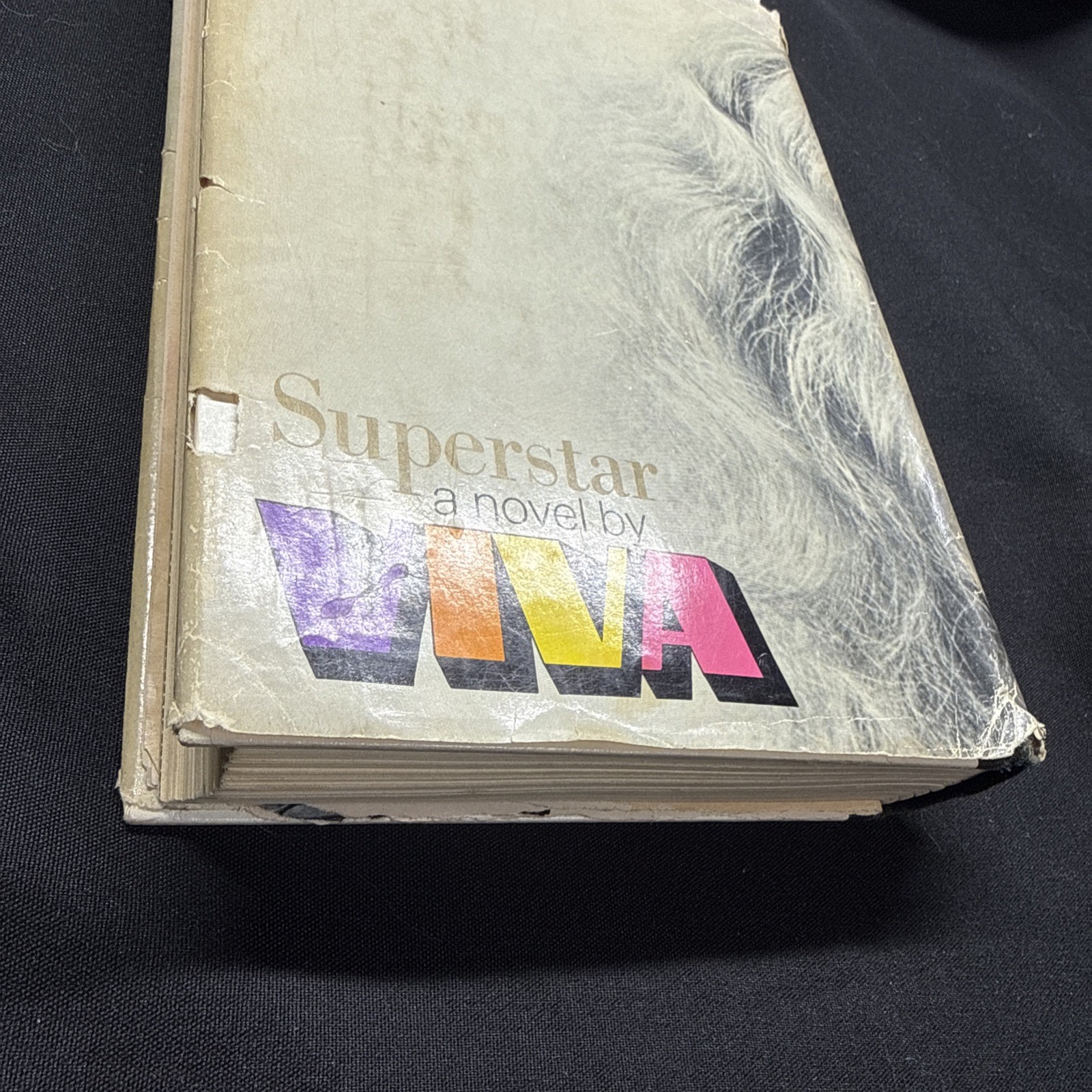 1970 VIVA Superstar Novel Hardcover Book DJ 1st G P Putnam Pop Art 60&rsquo;s VINTAGE