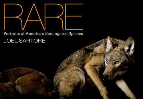 Rare: Portraits of America&rsquo;s Endangered Species, Sartore, Joel, Good Book