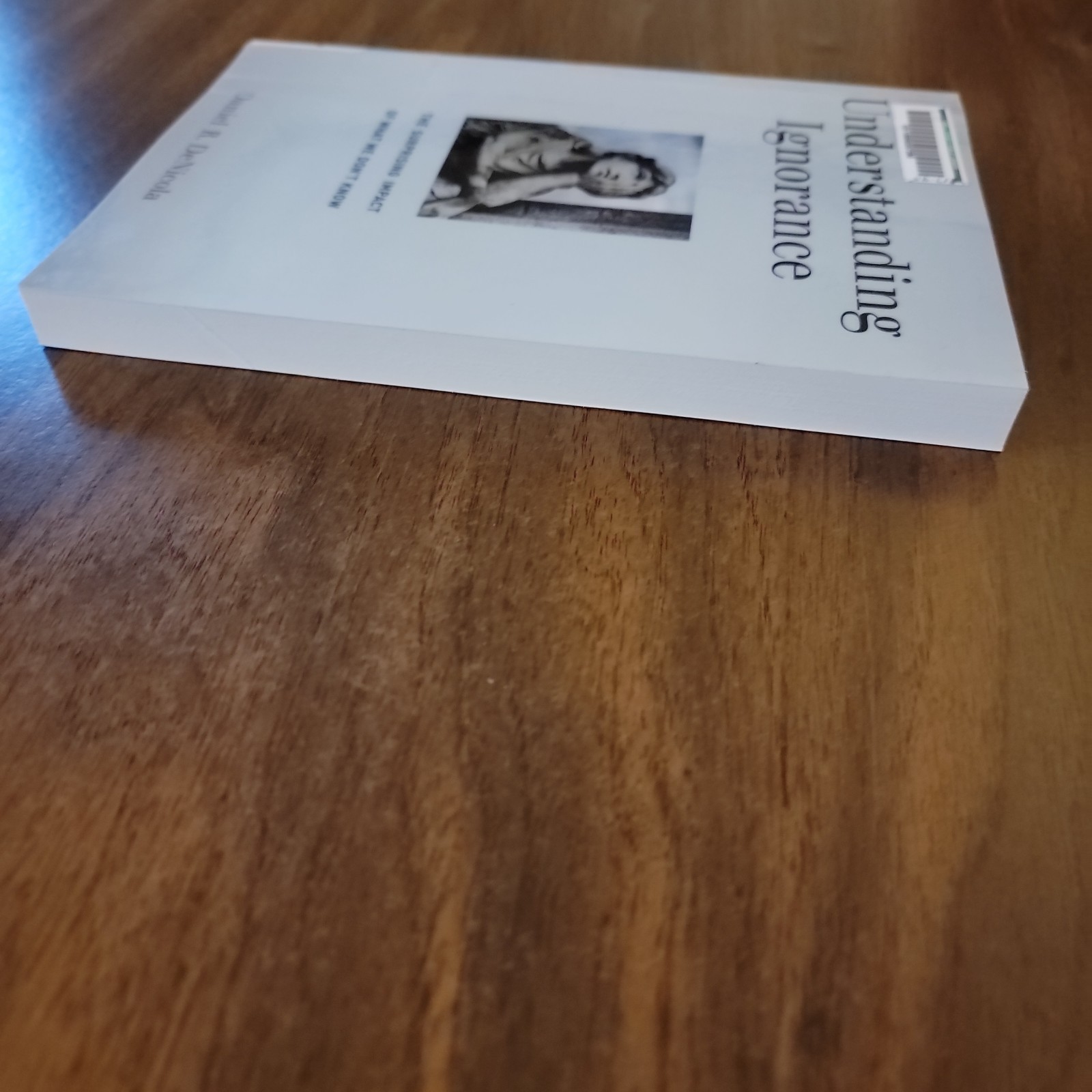 Understanding Ignorance – Daniel R. DeNicola