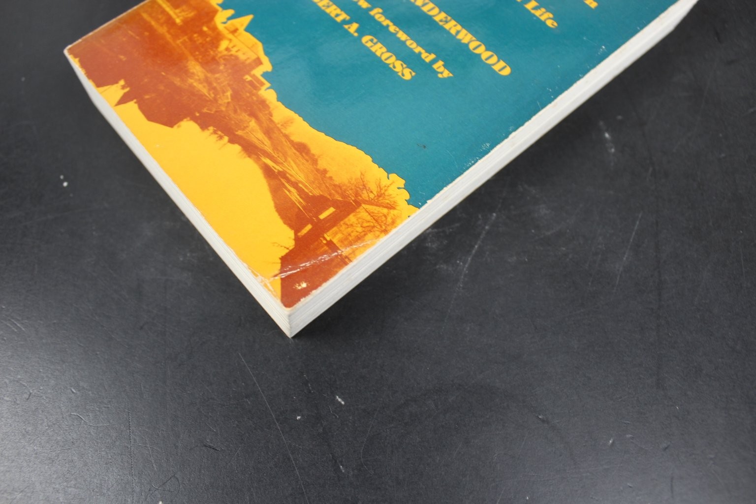 Quabbin Underwood 1986 Reprint New Foreword American Regional Studies History