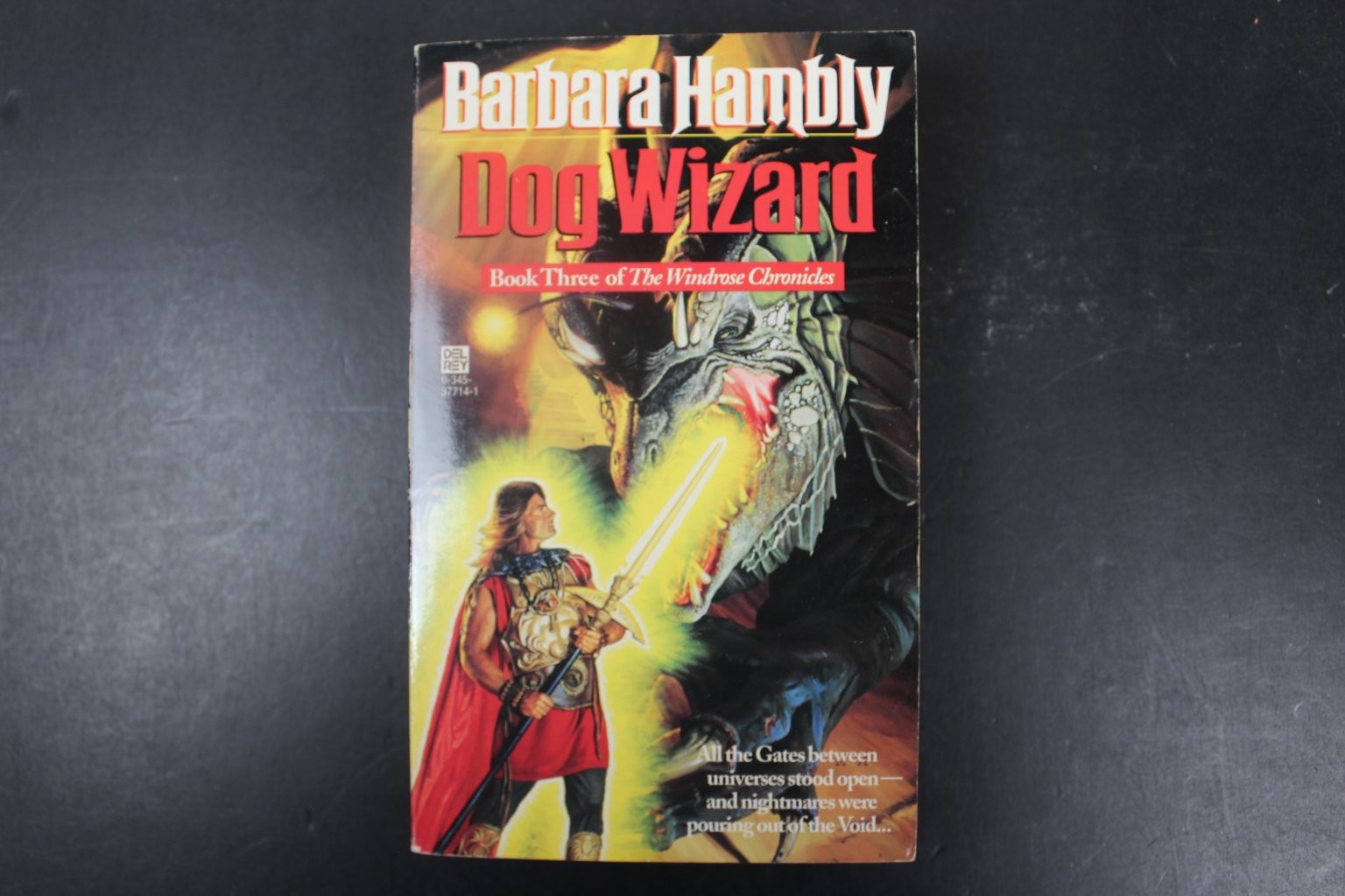 Dog Wizard Barbara Hambly 1993 First Edition Fantasy Del Rey Ballantine PB VG