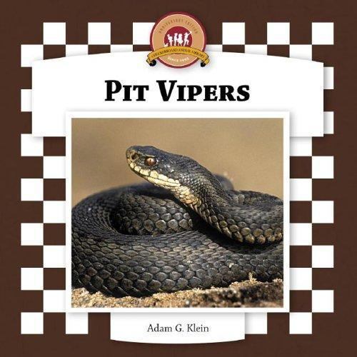 Pit Vipers (Snakes Set II)