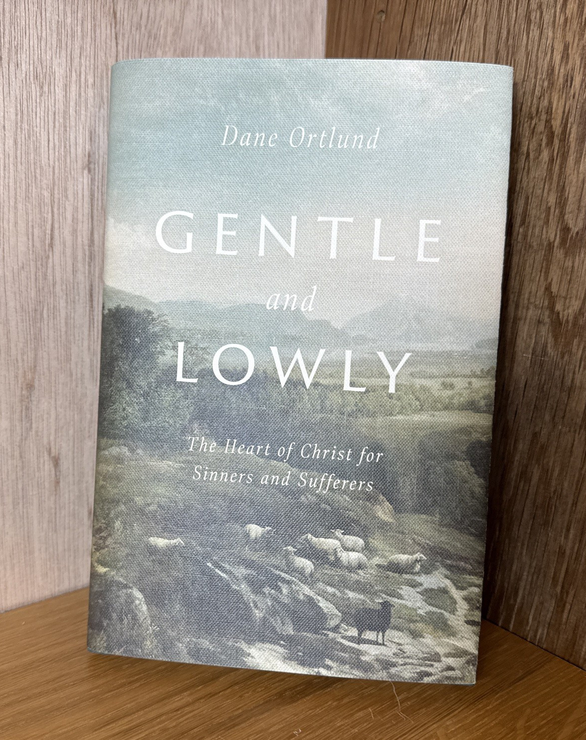 Gentle and Lowly : The Heart of Christ by Dane Ortlund (Hardcover) NEW