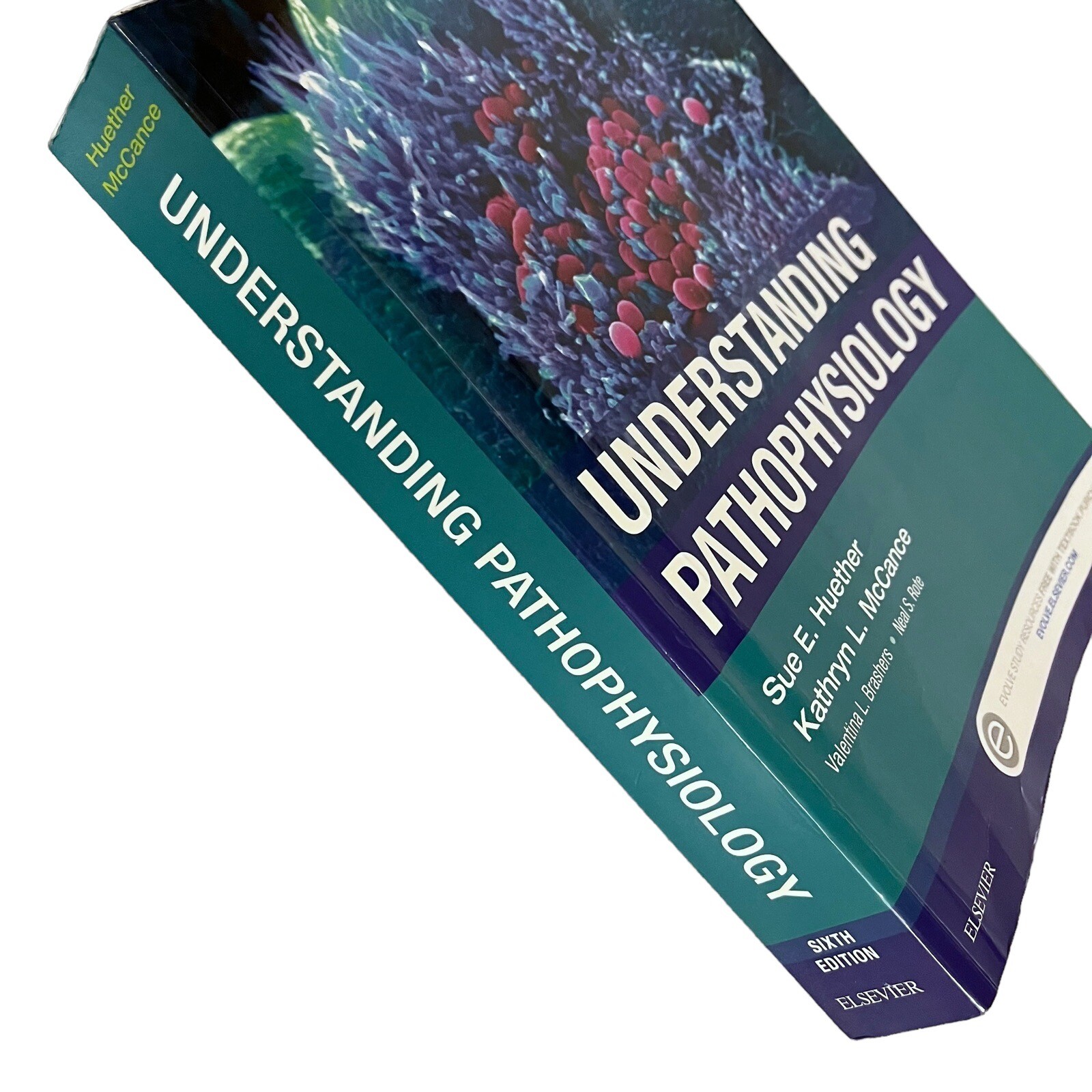 Understanding Pathophysiology Sixth Edition by Kathryn L. McCance Paperback