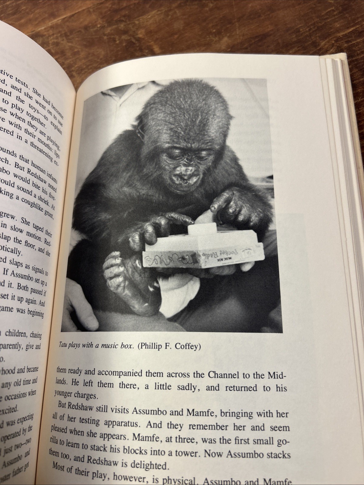 Thinking Gorillas Testing Teaching by Bettyann Kevles HCDJ 1980 – 1st edition