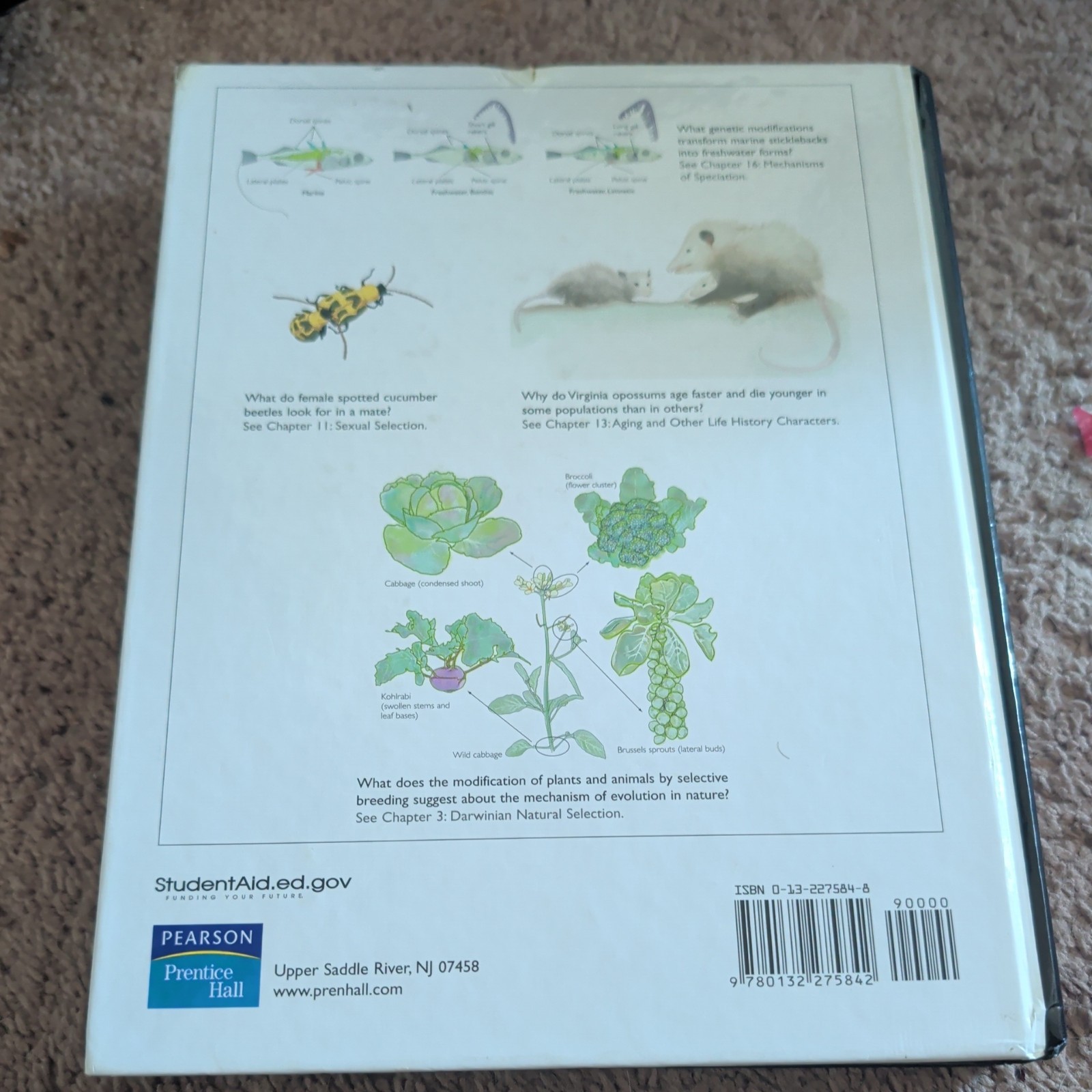 Evolutionary Analysis by Jon C. Herron and Scott Freeman (2006, Hardcover)