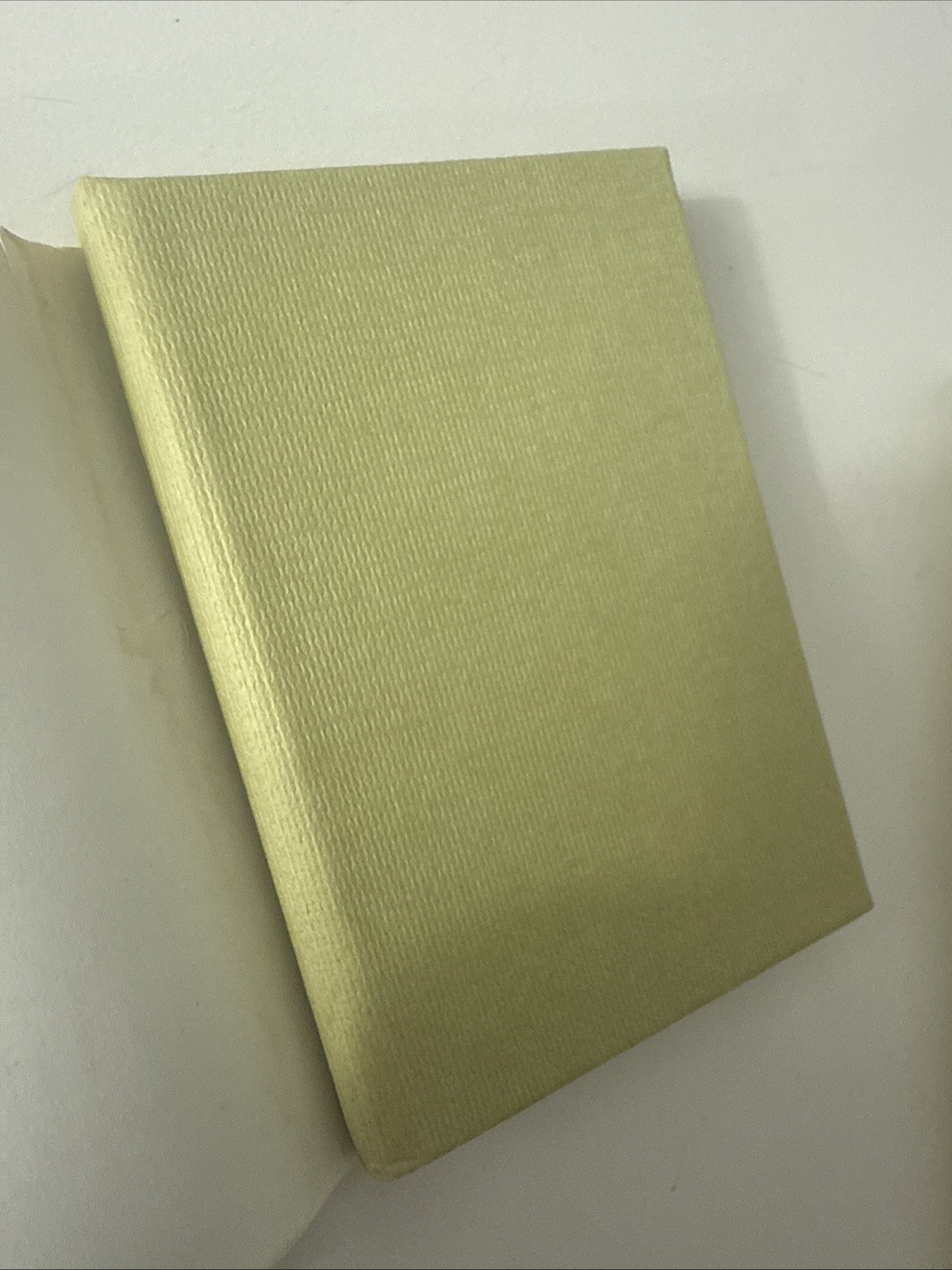 JANUSZ GRABIANSKI&rsquo;S Second Came The Lion Mini Book Martin Circus VTG