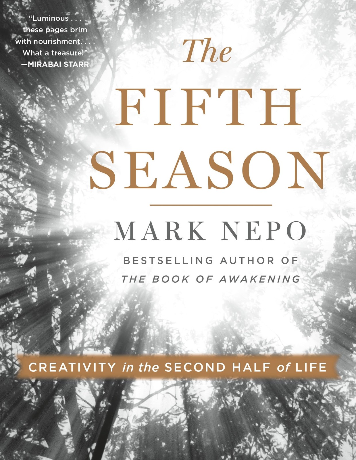 The Fifth Season Nepo, Mark paperback Very Good
