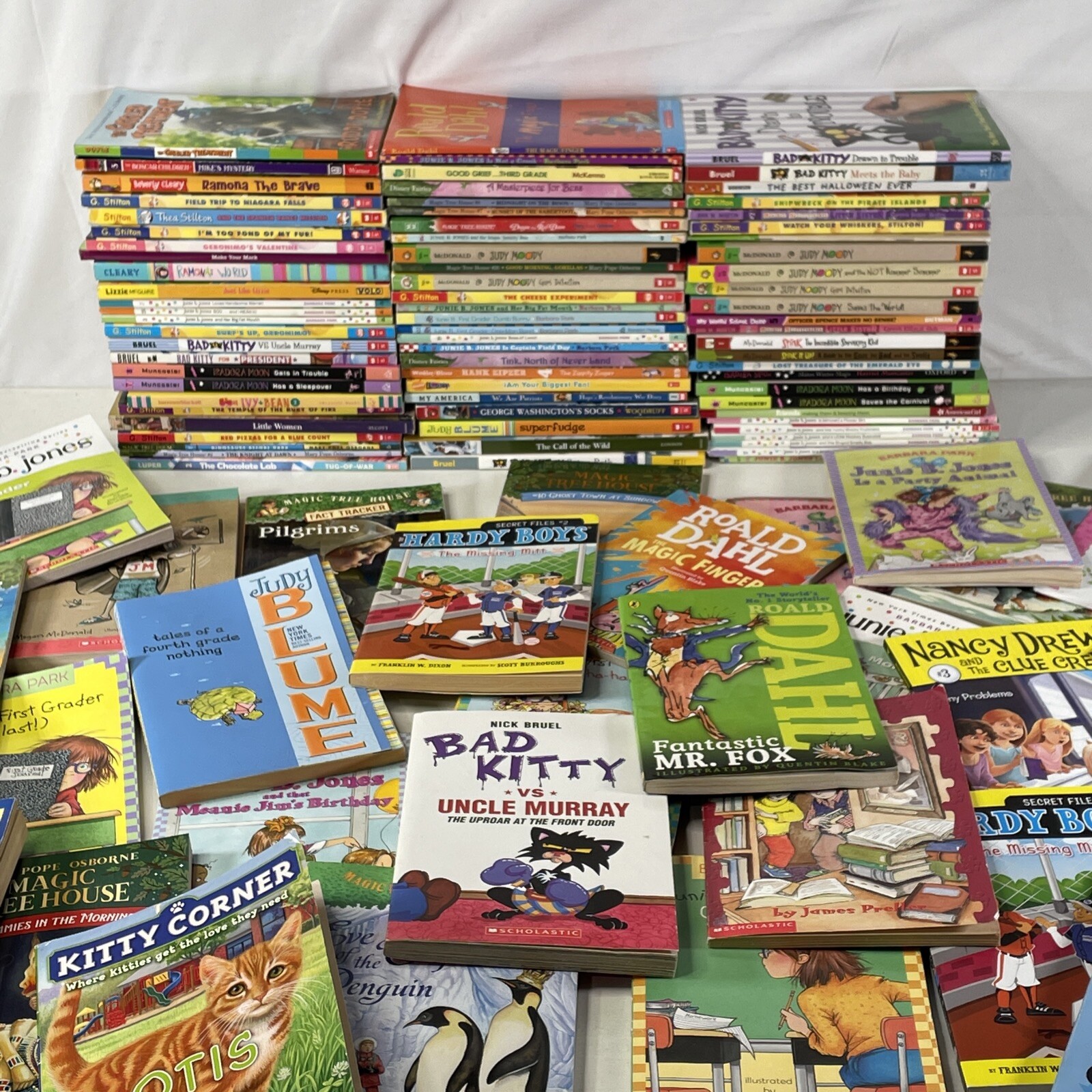Bulk/Huge Lot of 25 Children&rsquo;s Kids Chapter Books – Random – Free Shipping!