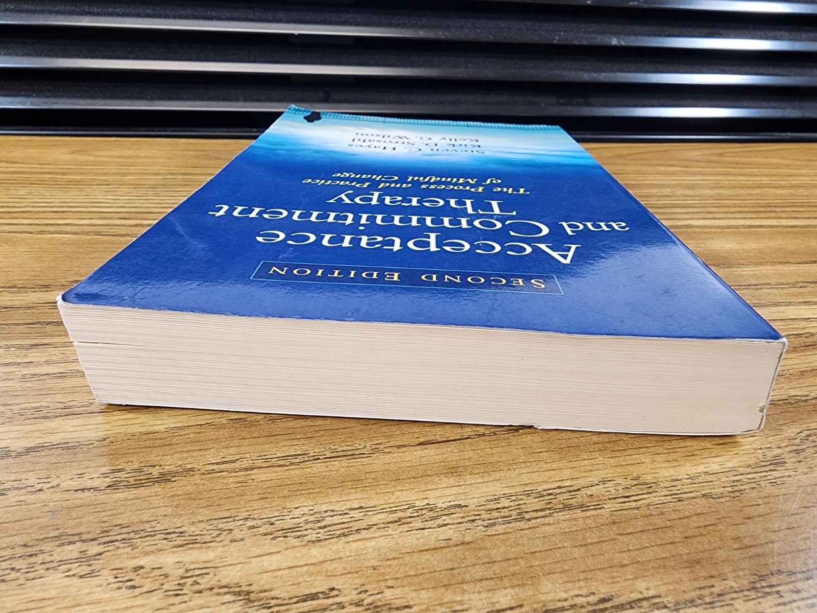 Acceptance and Commitment Therapy: The Process and Practice of Mindful Chang…