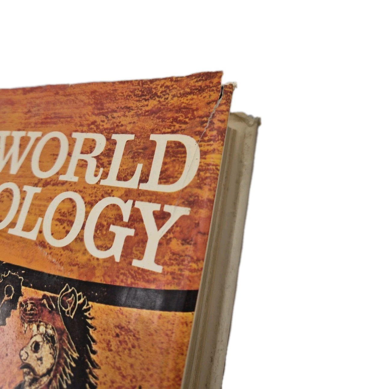 Larousse World Mythology Illustrated Hardcover Charwell Books 600 Pages Good