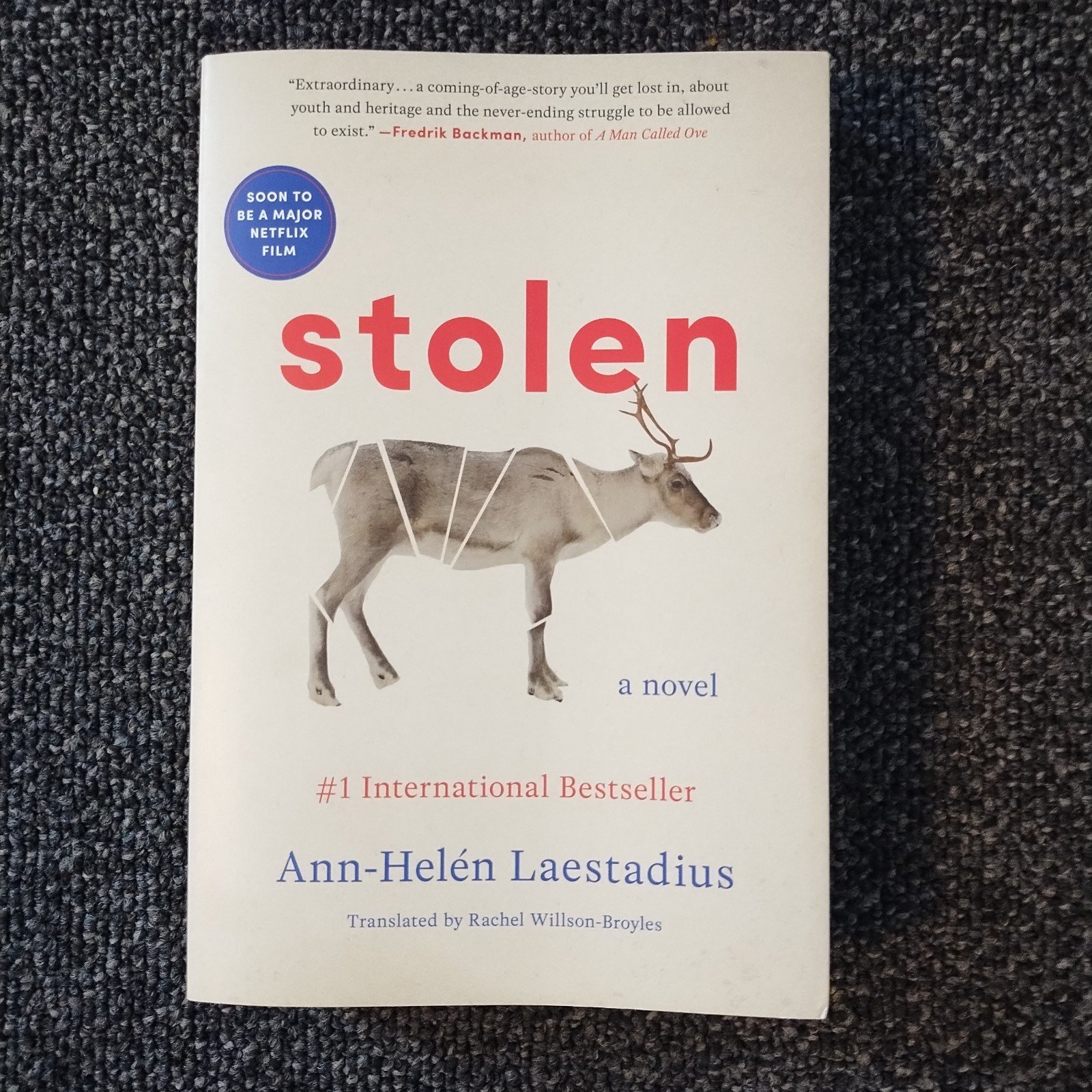 Stolen by Ann-Helén Laestadius (2023, Trade Paperback)