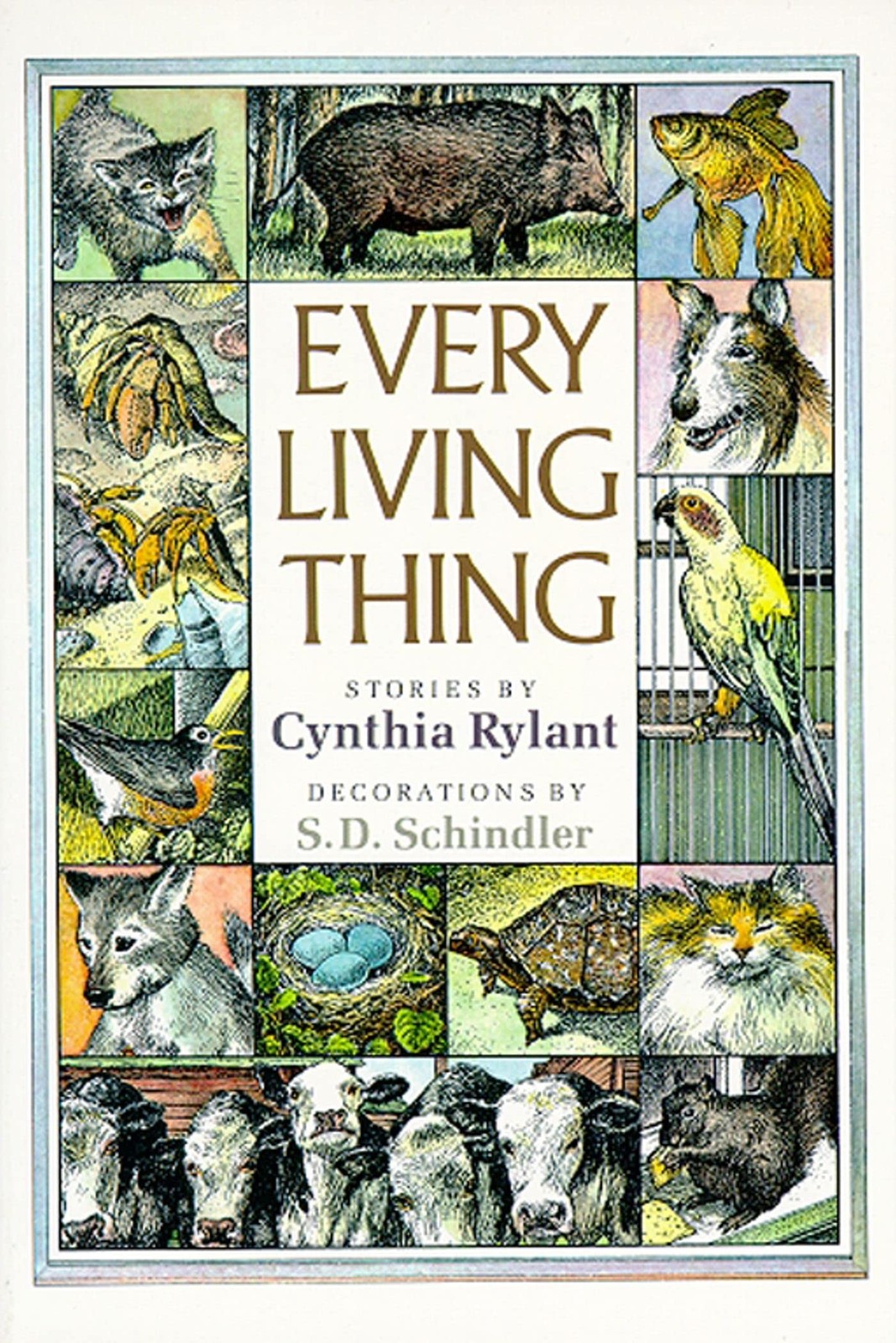 Every Living Thing – Rylant, Cynthia|Schindler, S.D. – Like New – See condit…