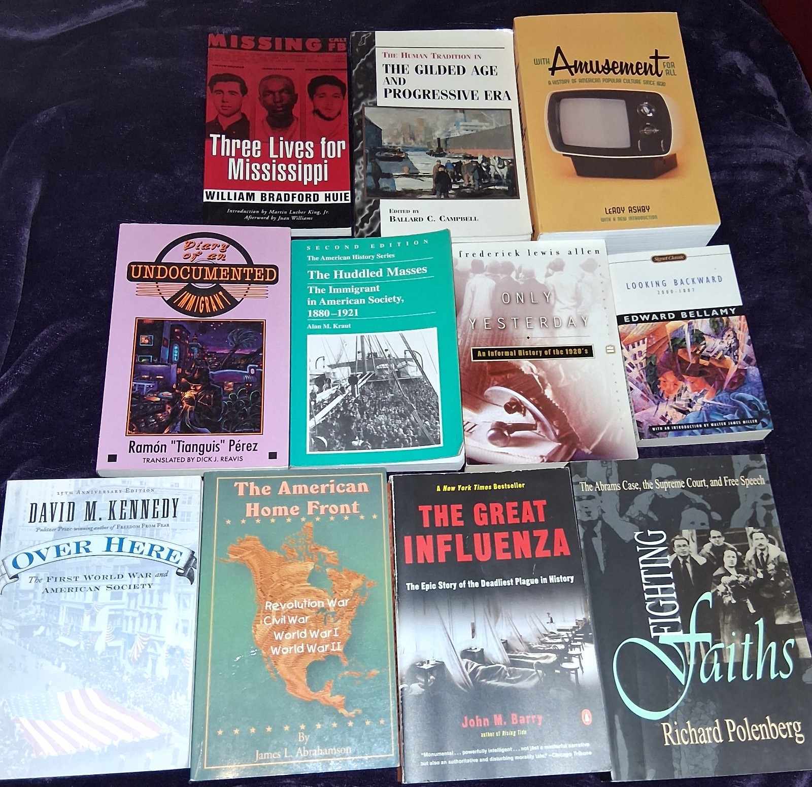 American History Book LOT Social History Activism Civil Rights Immigrants War
