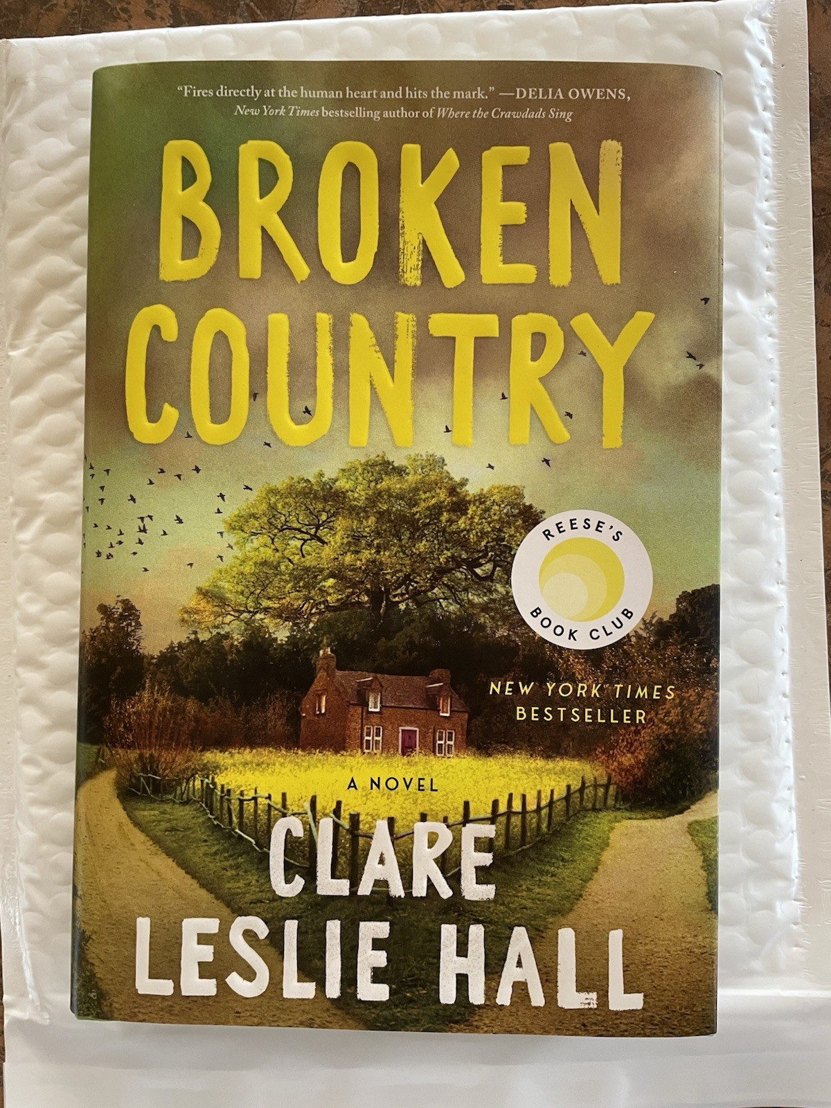 Broken Country by Clare Leslie Hall, Hardcover, Picador, Reese&rsquo;s Book Club