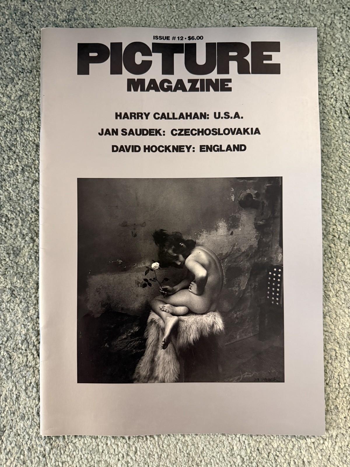PICTURE Magazine #12 – 1979 – RARE – David Hockney / Harry Callahan / Jan Saudek