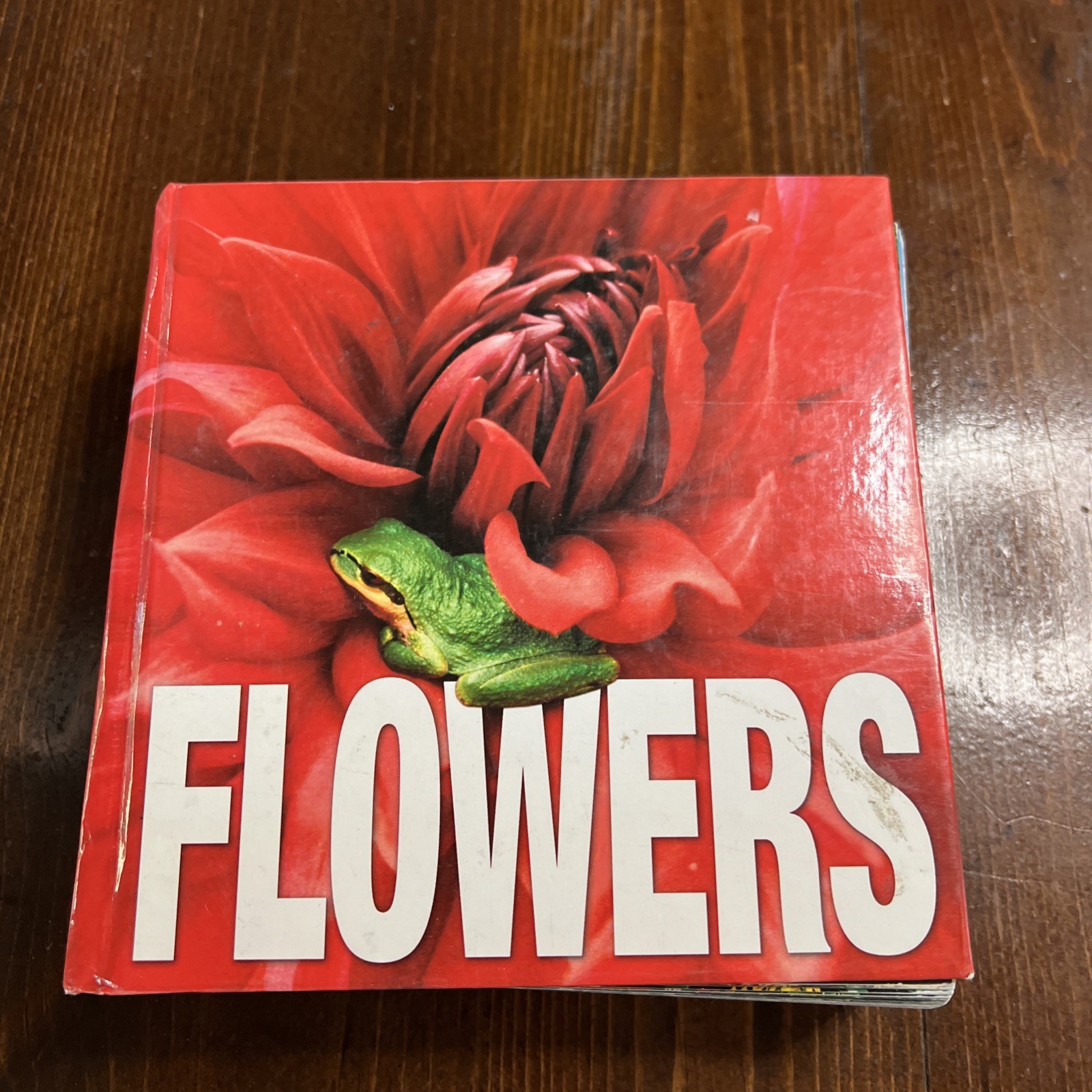 Flowers Cube book Valeria Manferto De Fabianis Hardback 736 pages